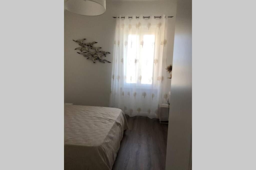 Appartamento incantevole La Maddalena vista mare CODICE IUN Q5459 view 2