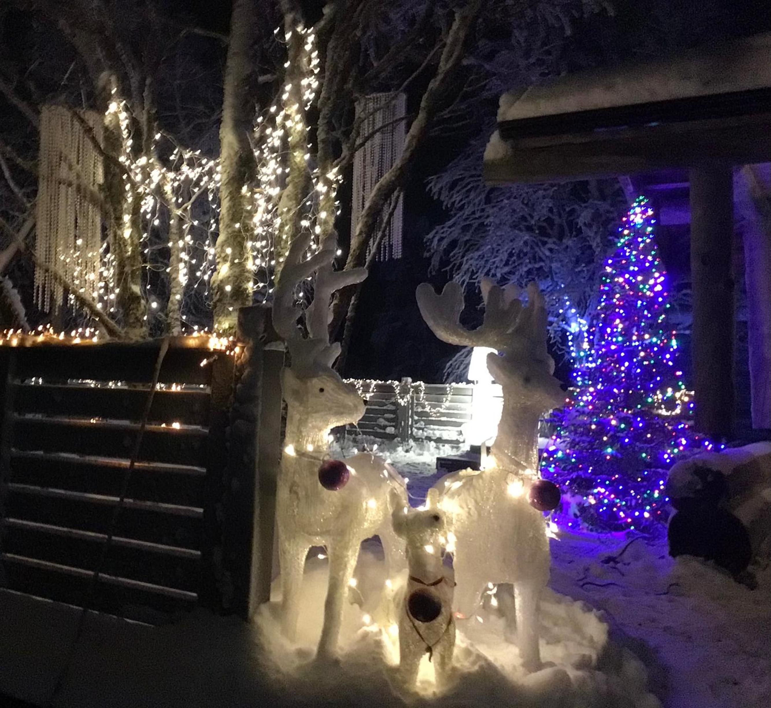 Kuukkeli Log Houses Teerenpesä - Premium Suite A48