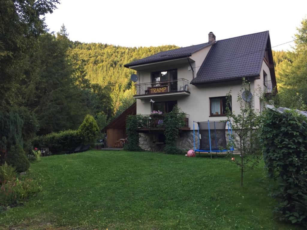 Photo 8