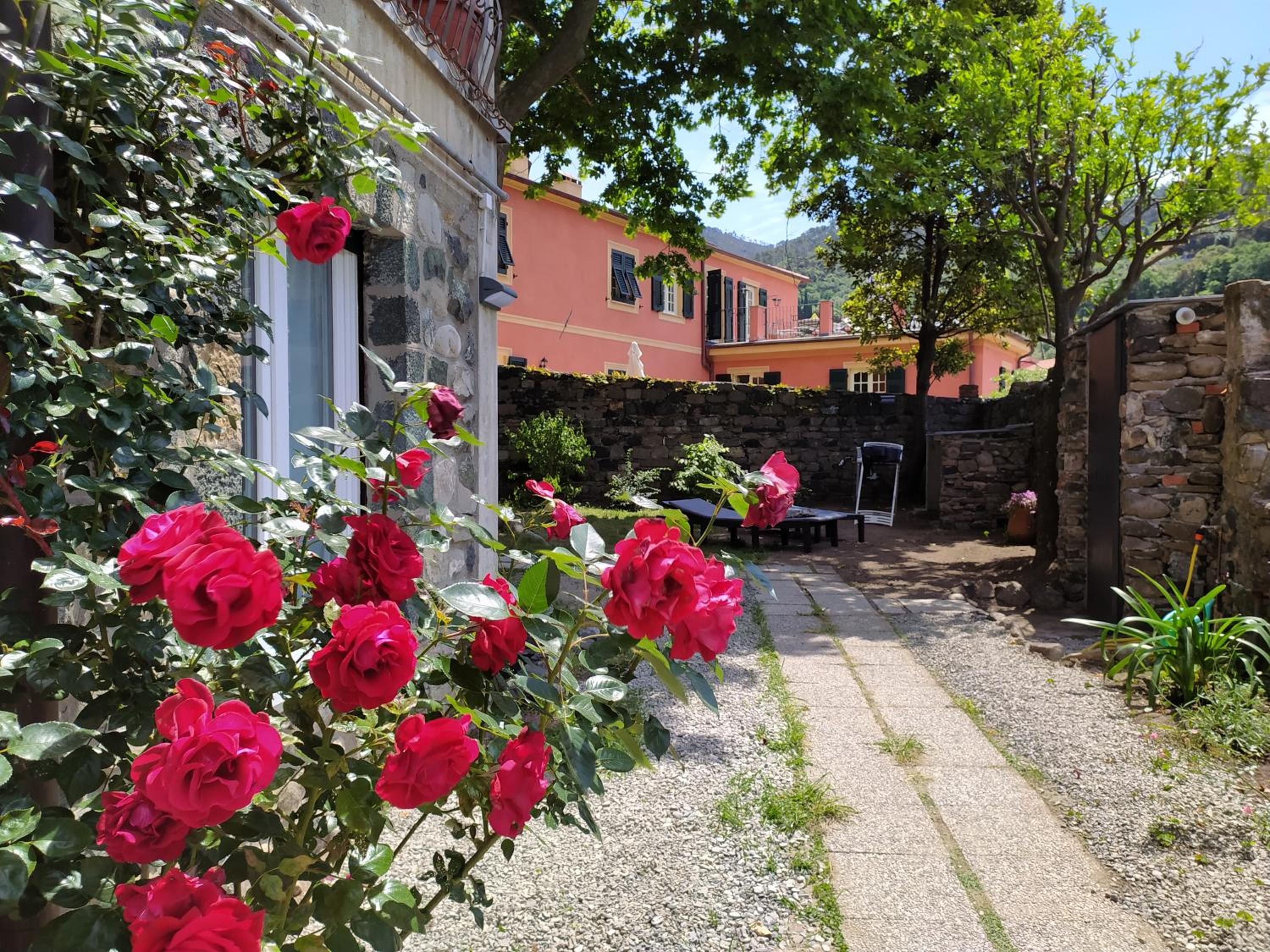 Dorothea House view 5
