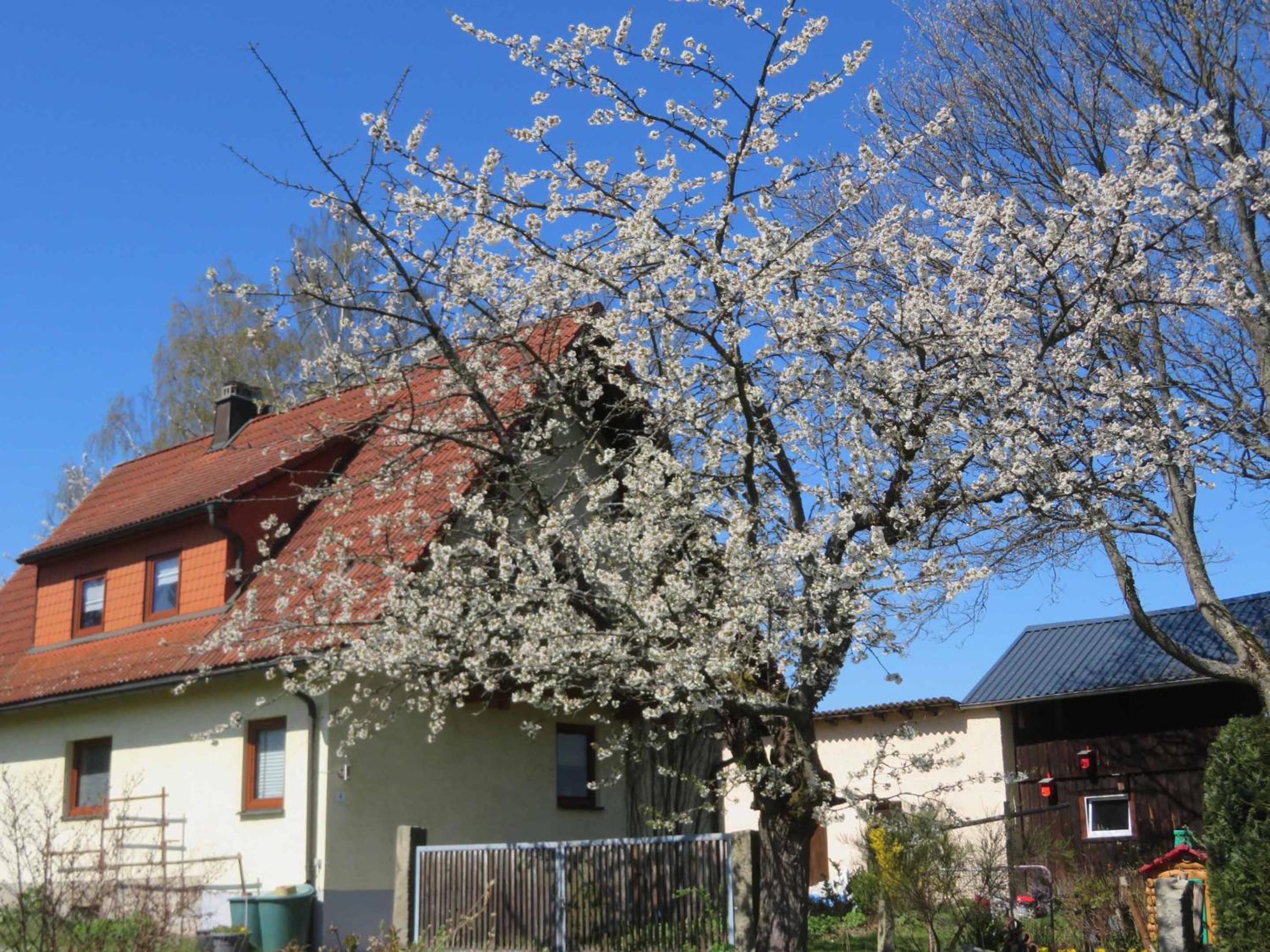 Ferienhaus Waldblick
