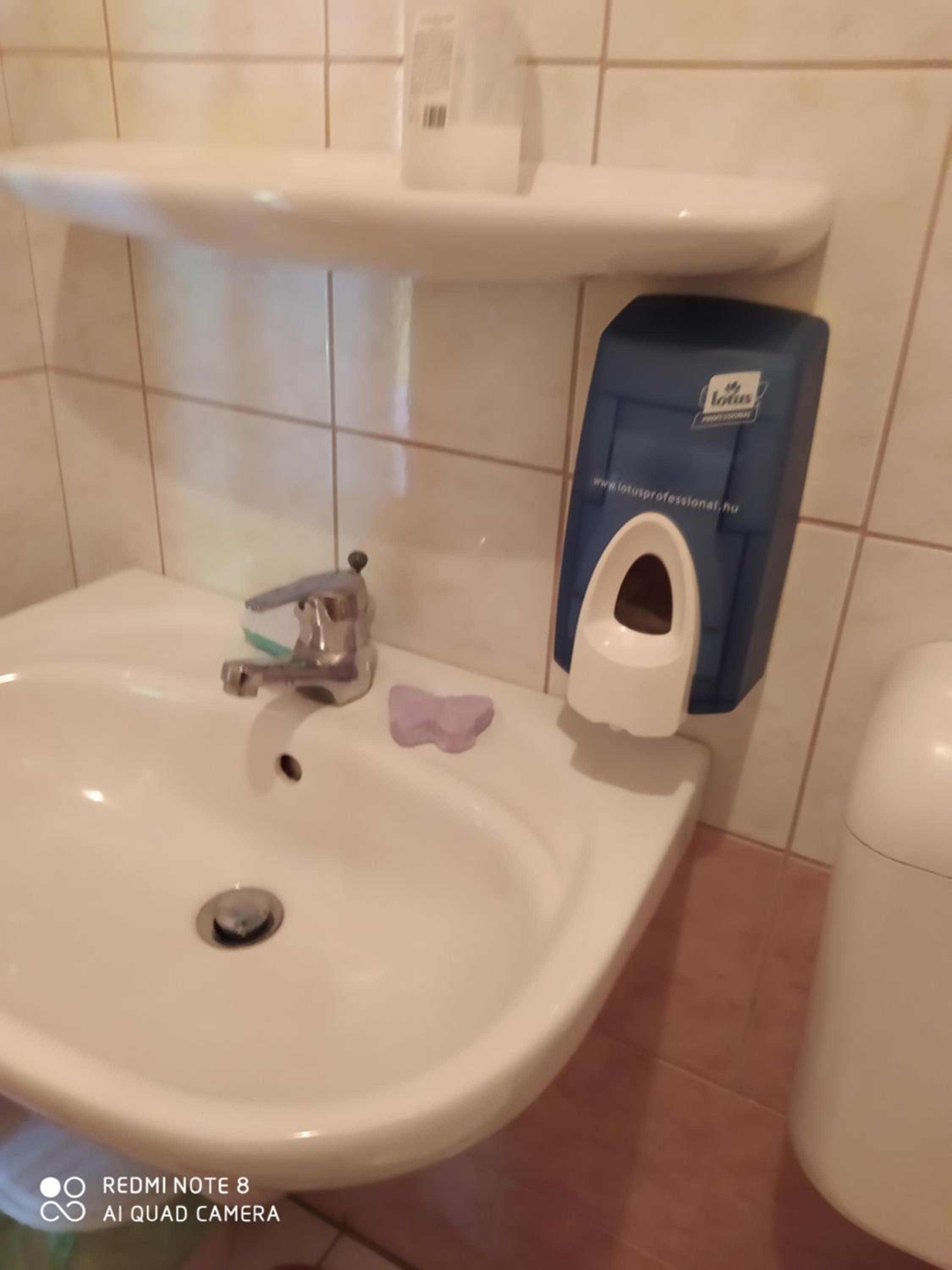 Tókert Vendégház