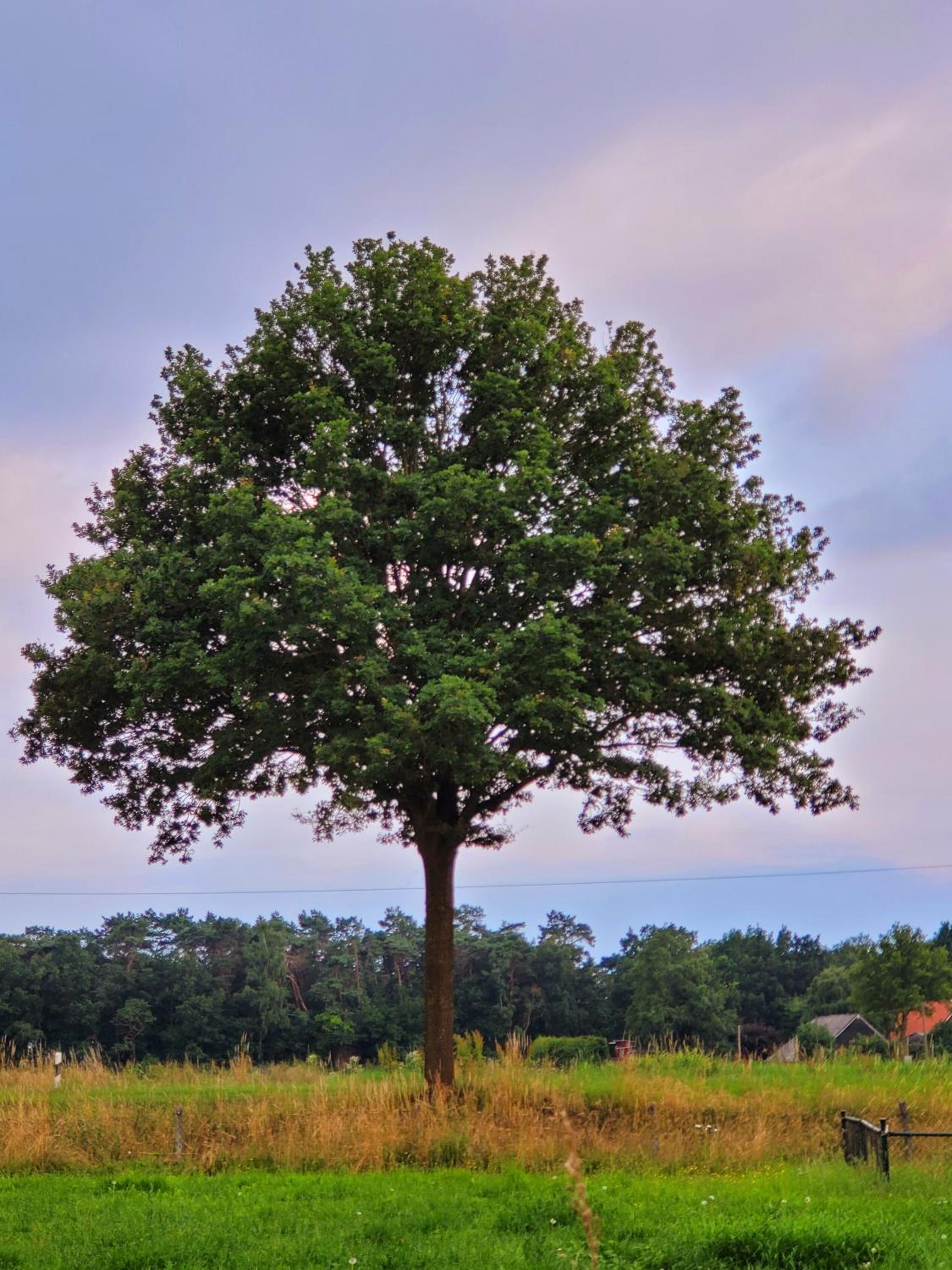 Ferienbauernhof De Slaaphoeve