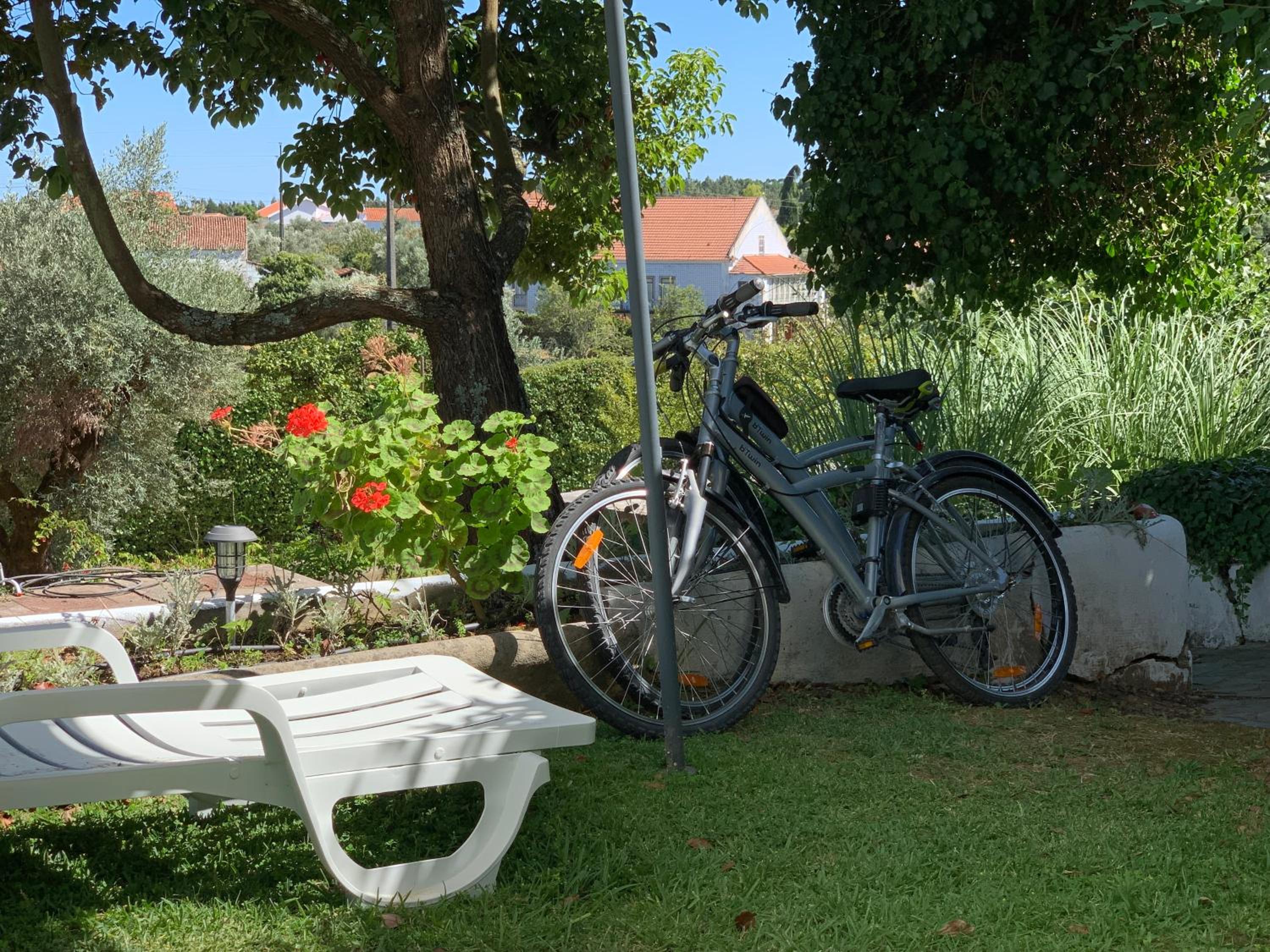 Quinta dos Girassóis FZ view 3