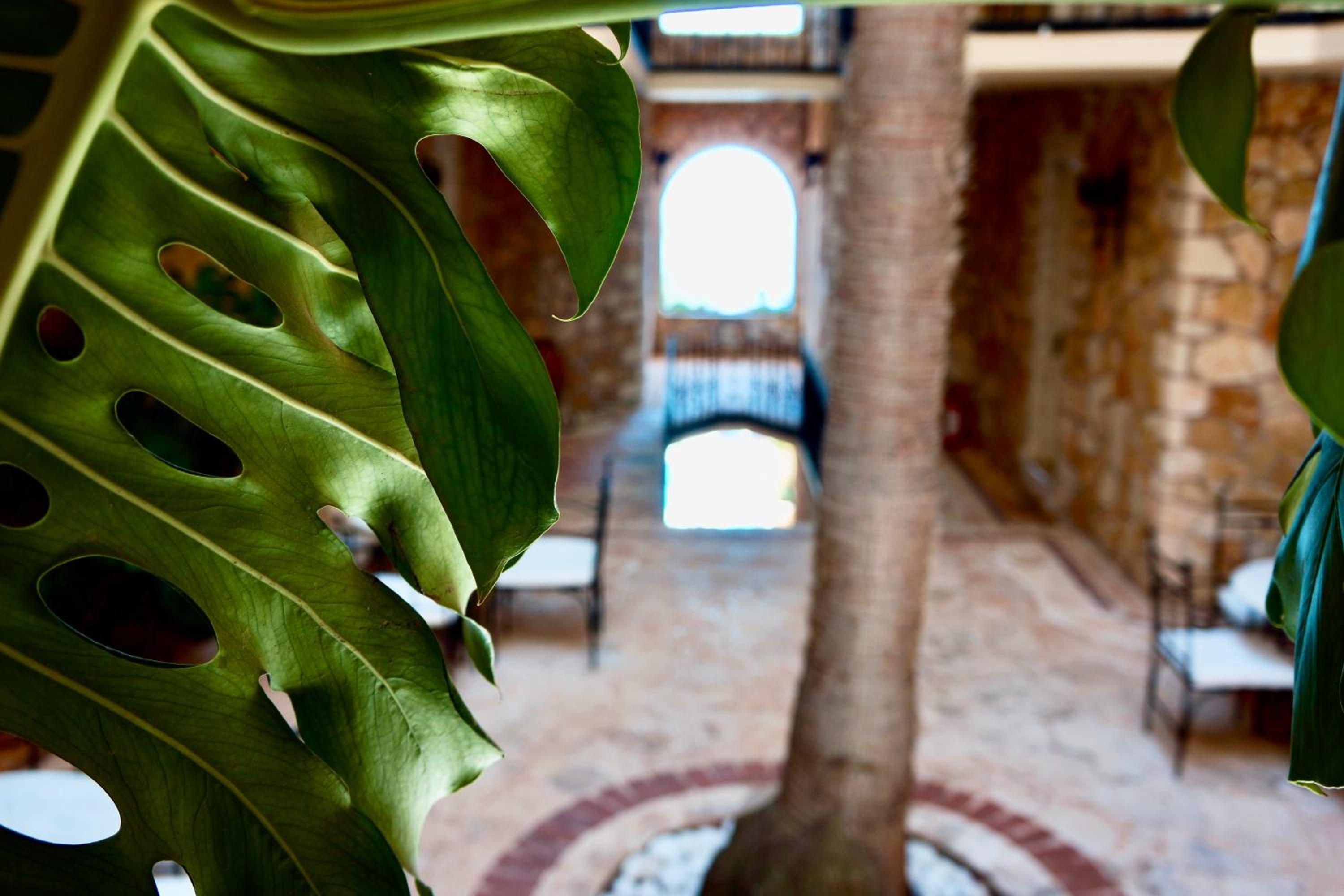 Villa Hotel Tamara - Image 50