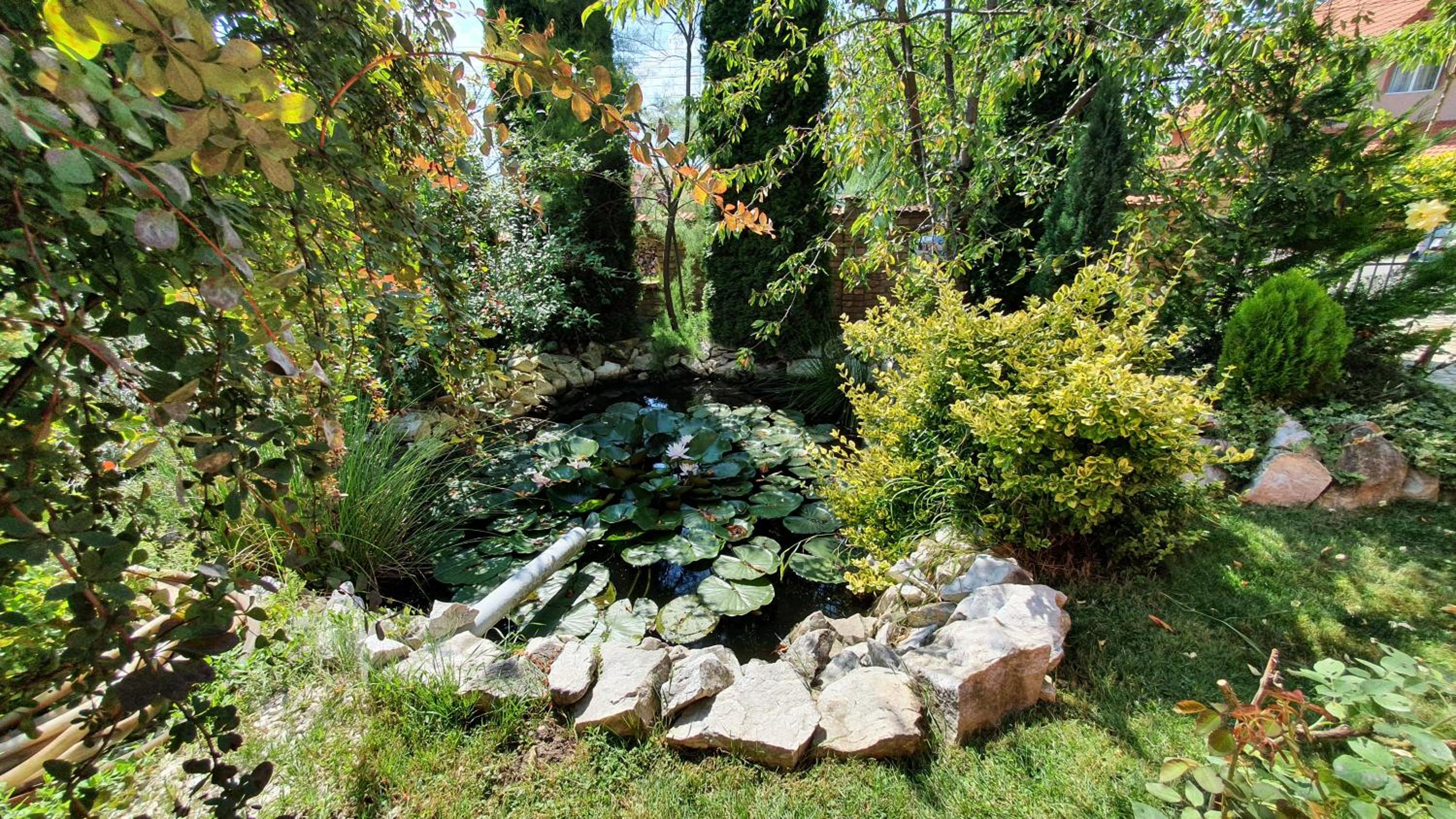 Photo 12