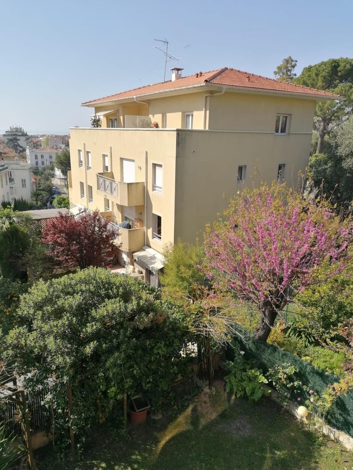 Villa Soraya , quiet location with big garden near beach and old town of NICE view 2