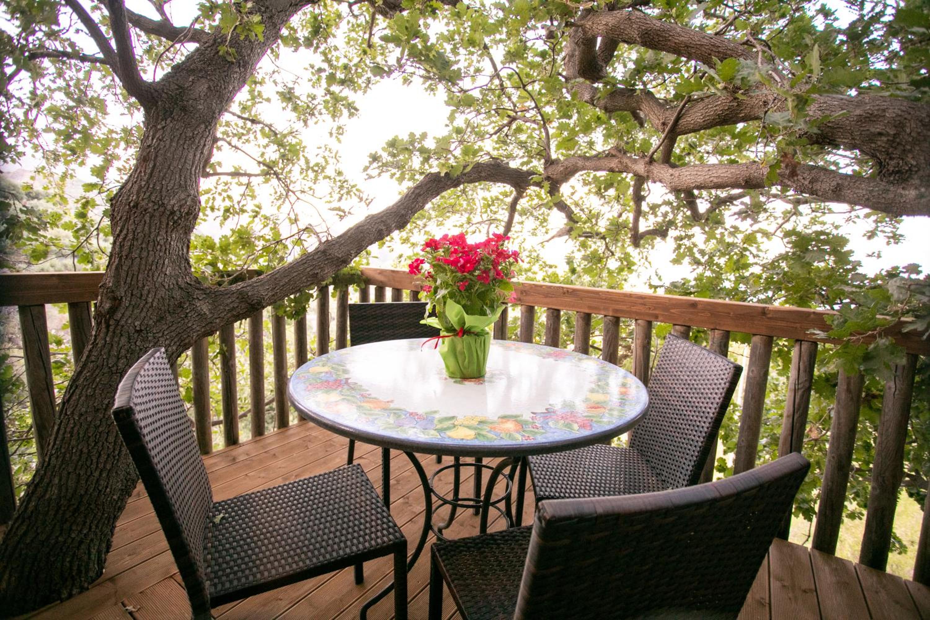 B & B Le Casette sull'albero di Villa Alba view 3
