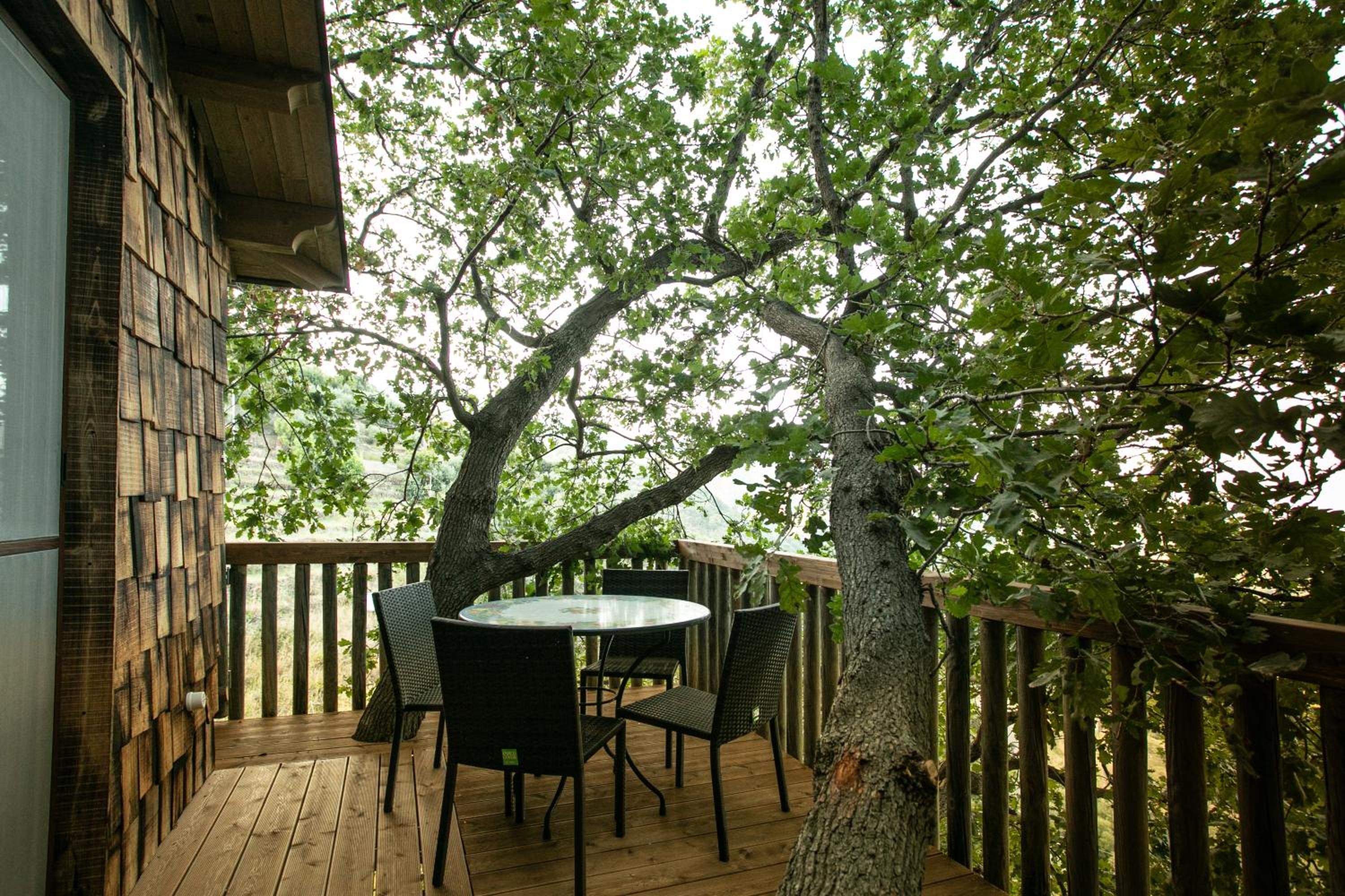 B & B Le Casette sull'albero di Villa Alba view 5