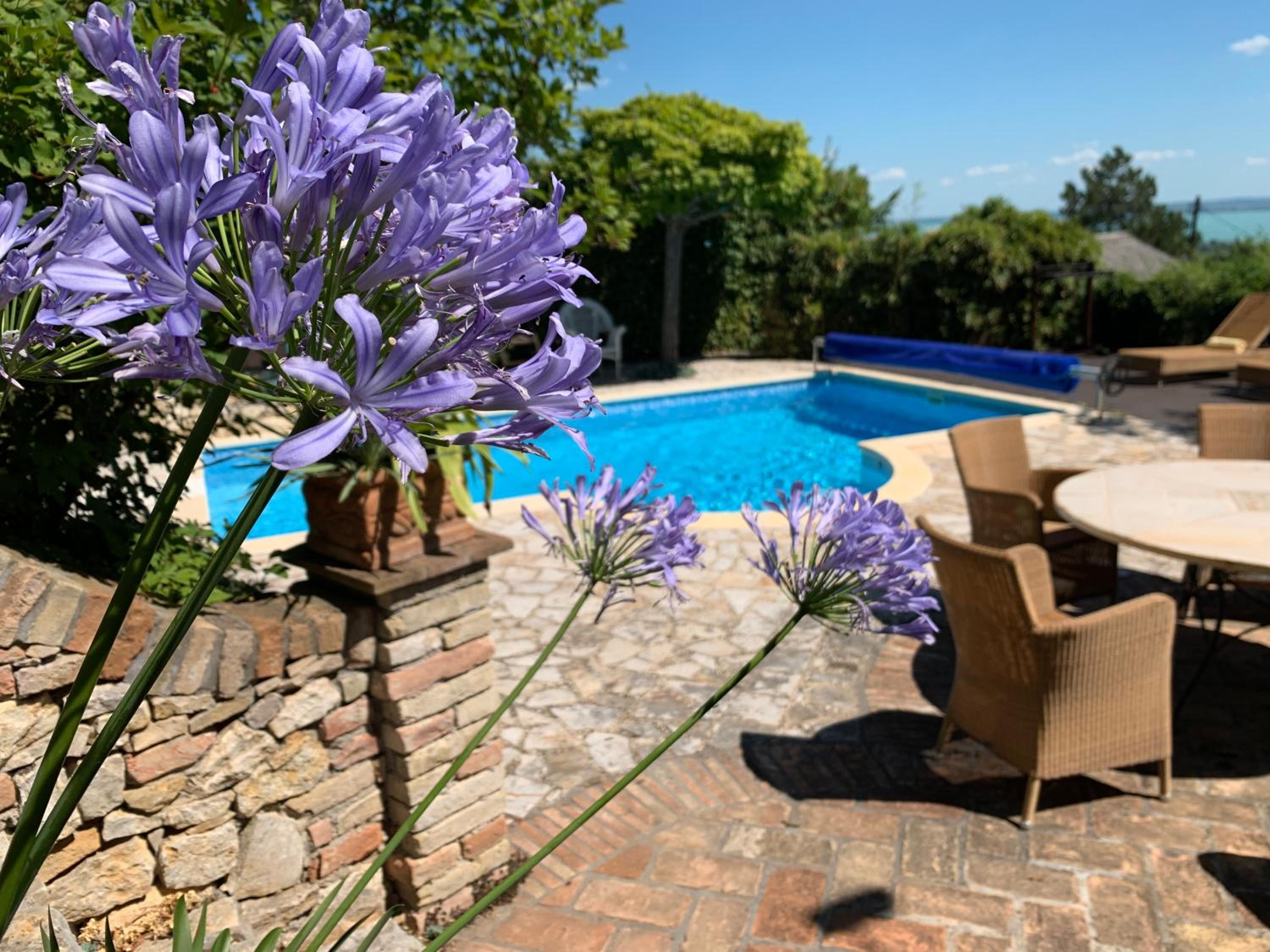 Panorama Pool Residence view 4