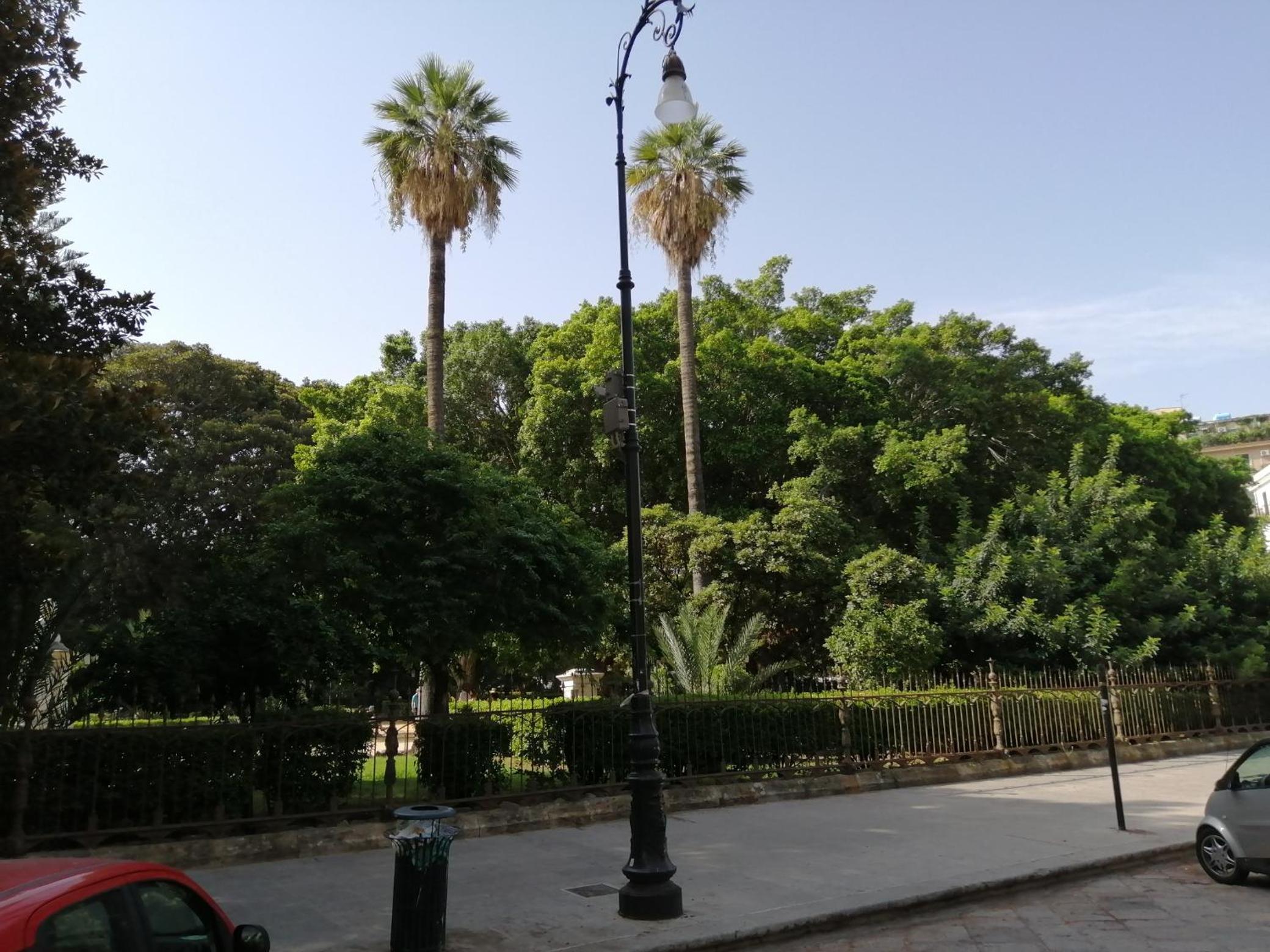 Photo 13