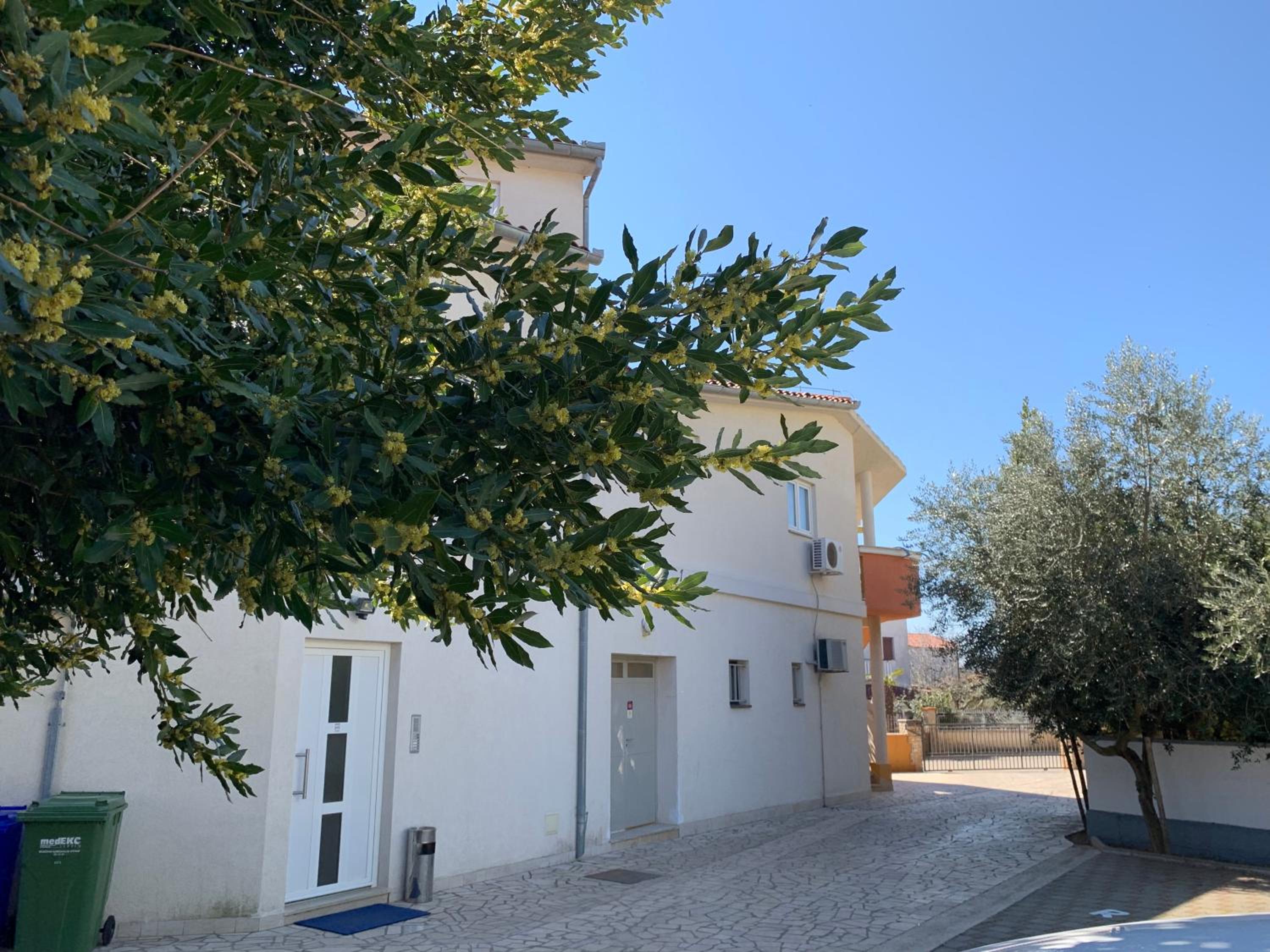Apartment Natura 7