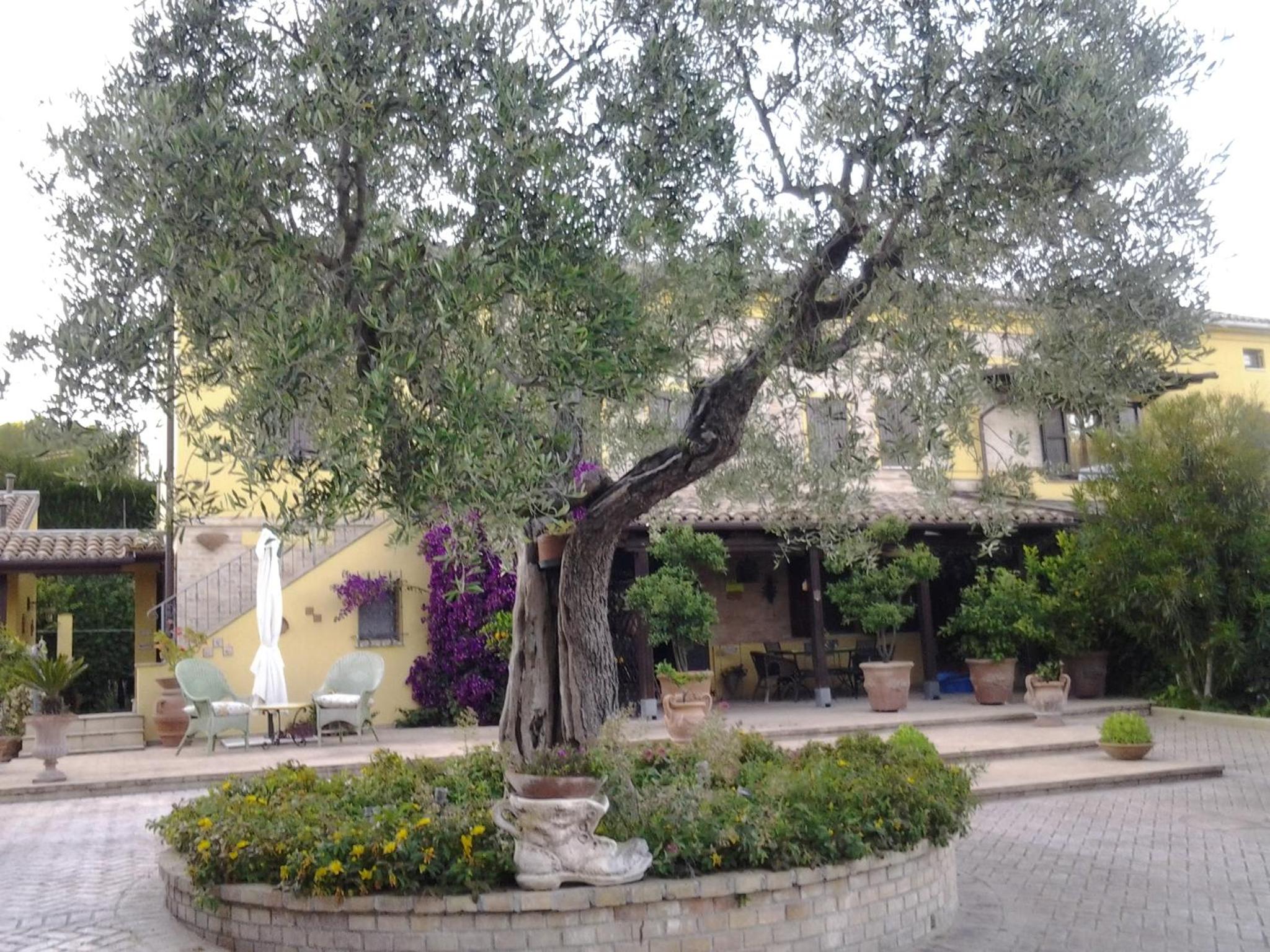 Photo 17