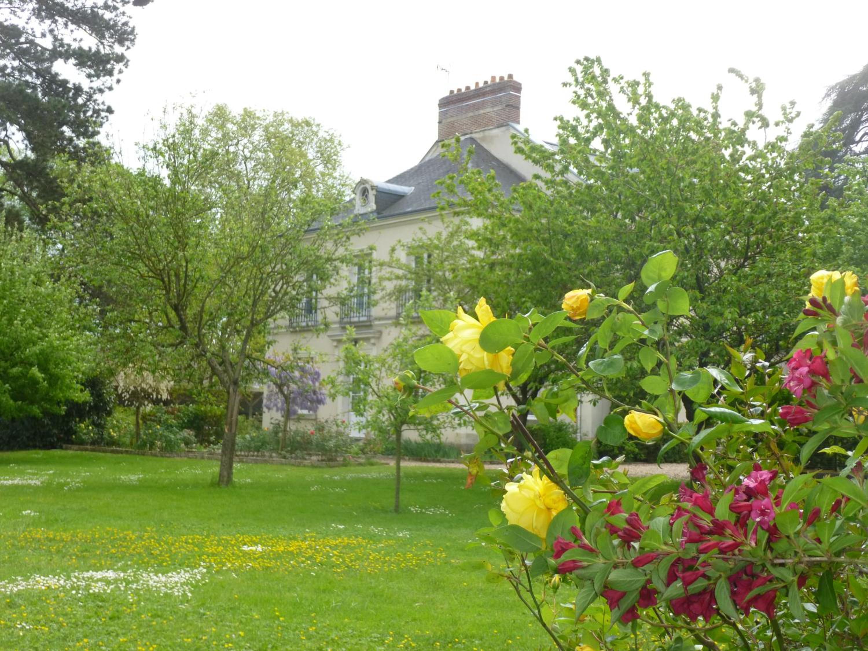 Cèdre et Charme