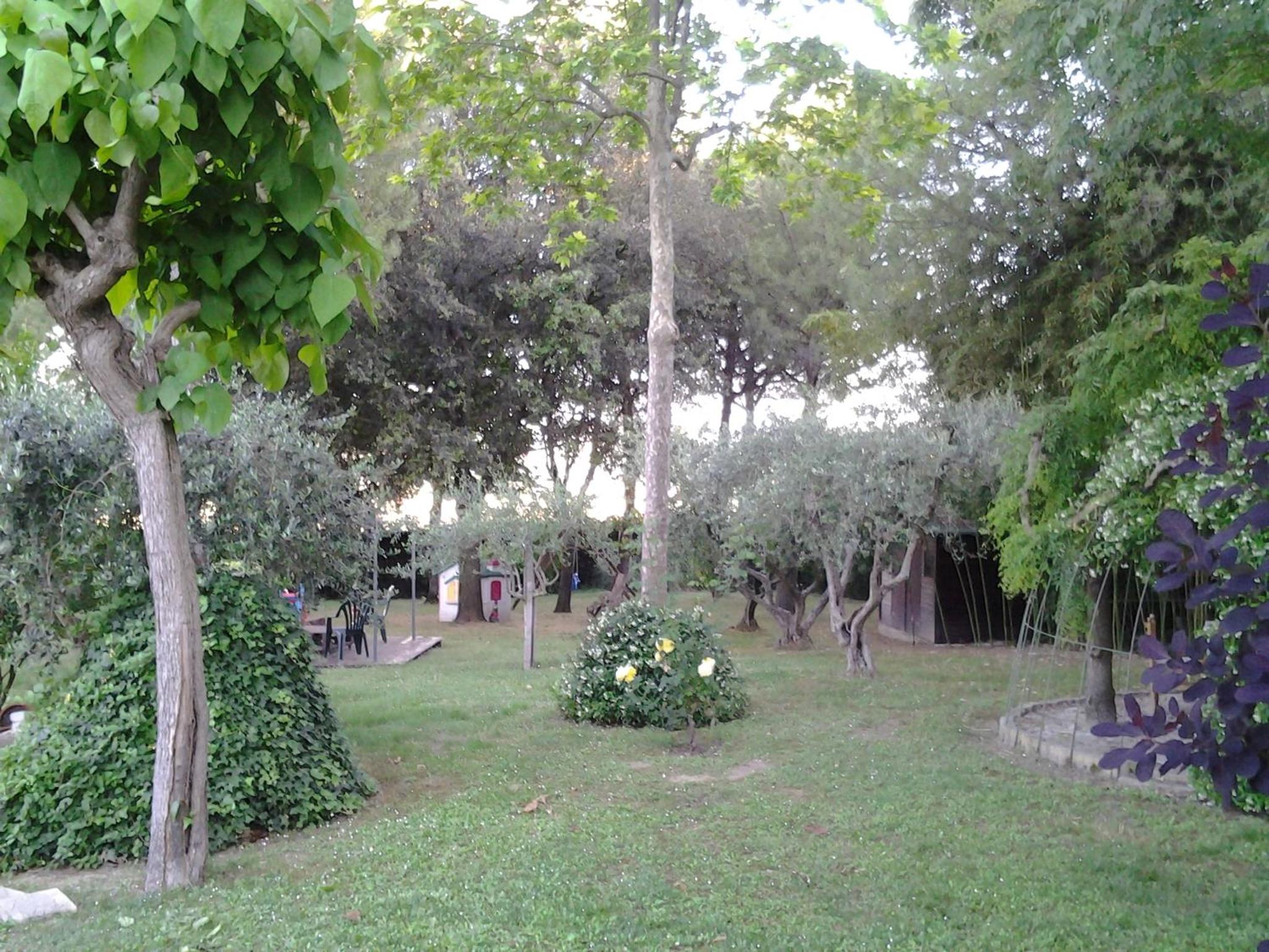Photo 28