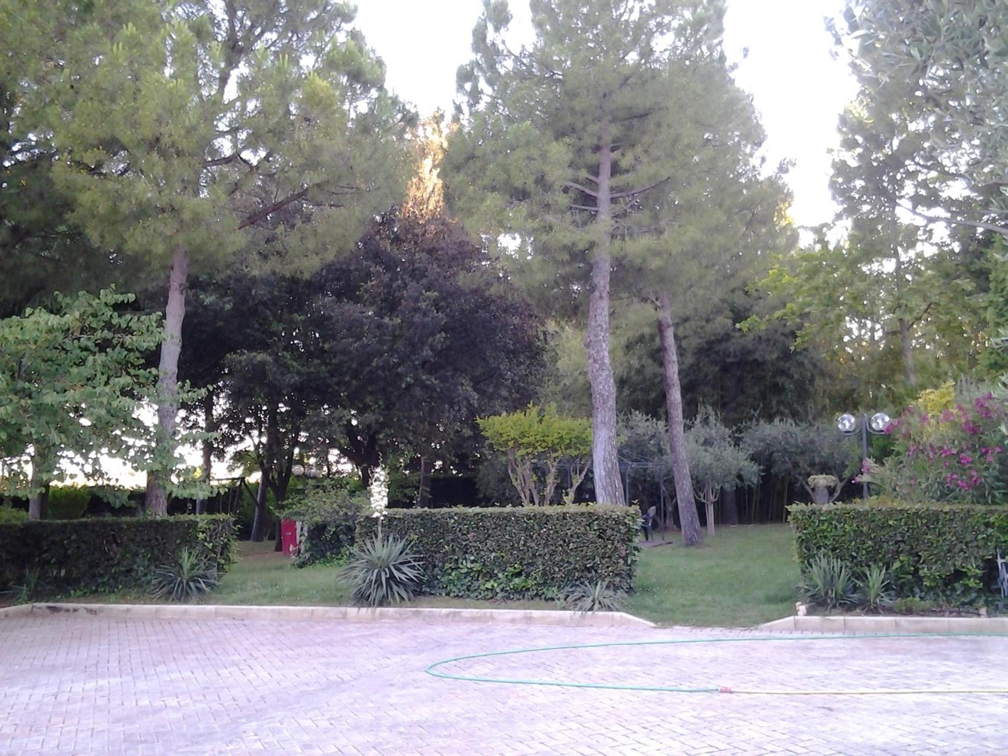Photo 29