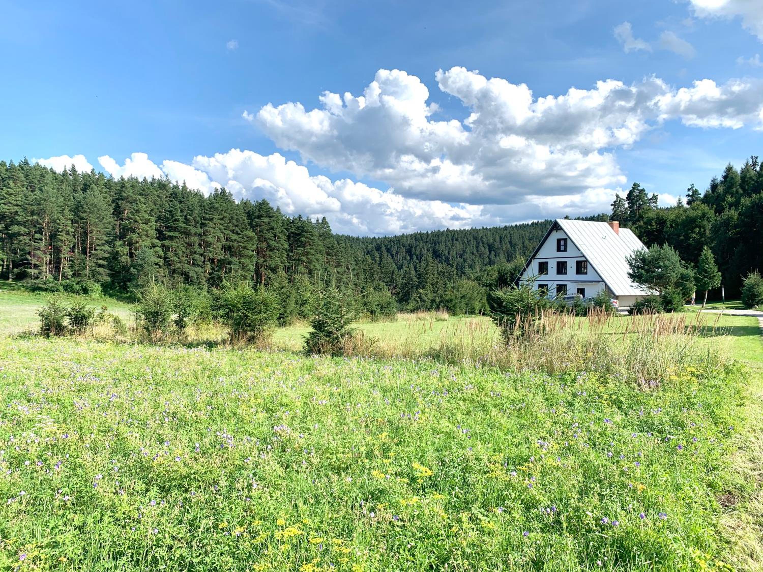 Photo 44