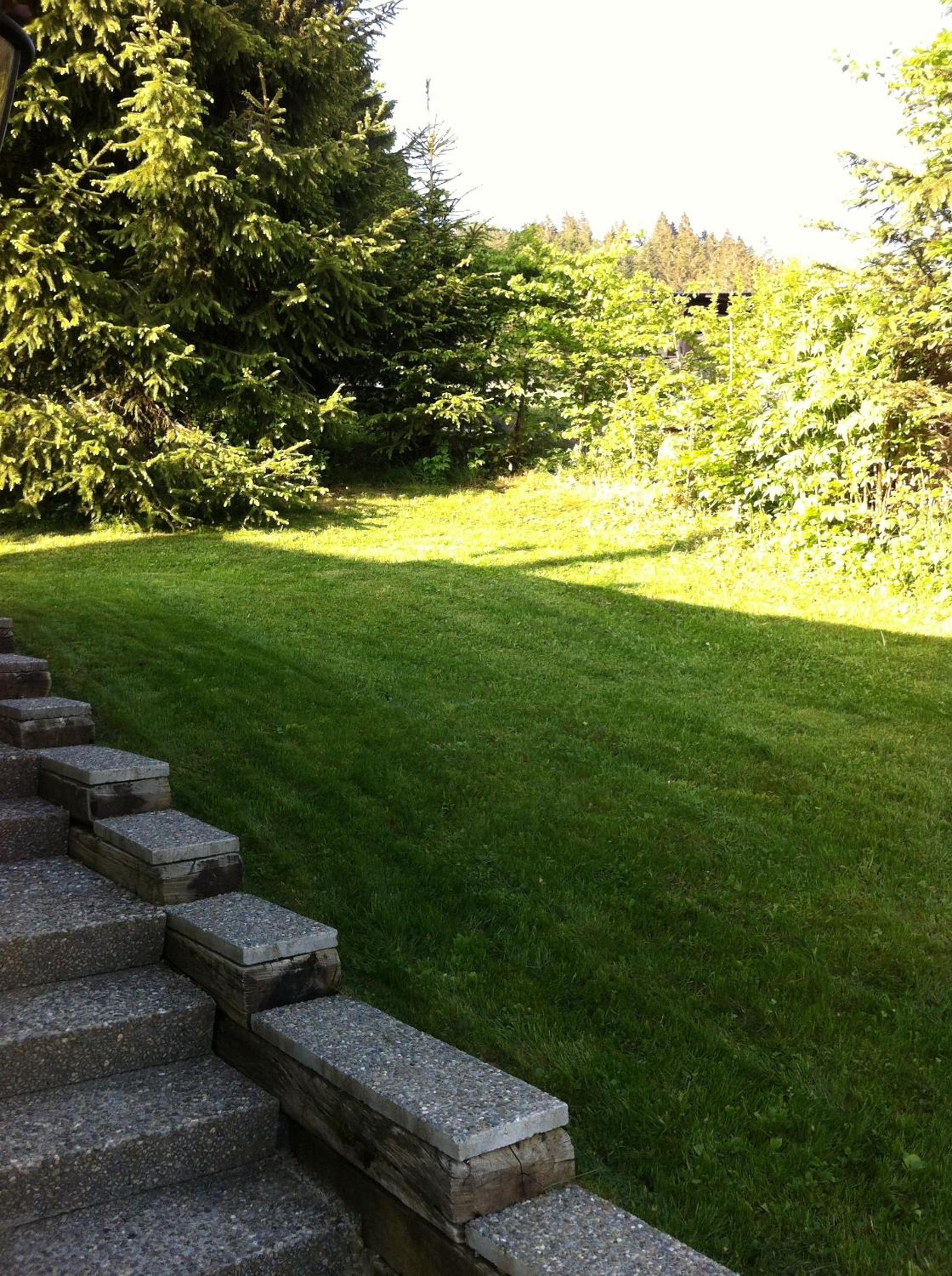 Photo 35