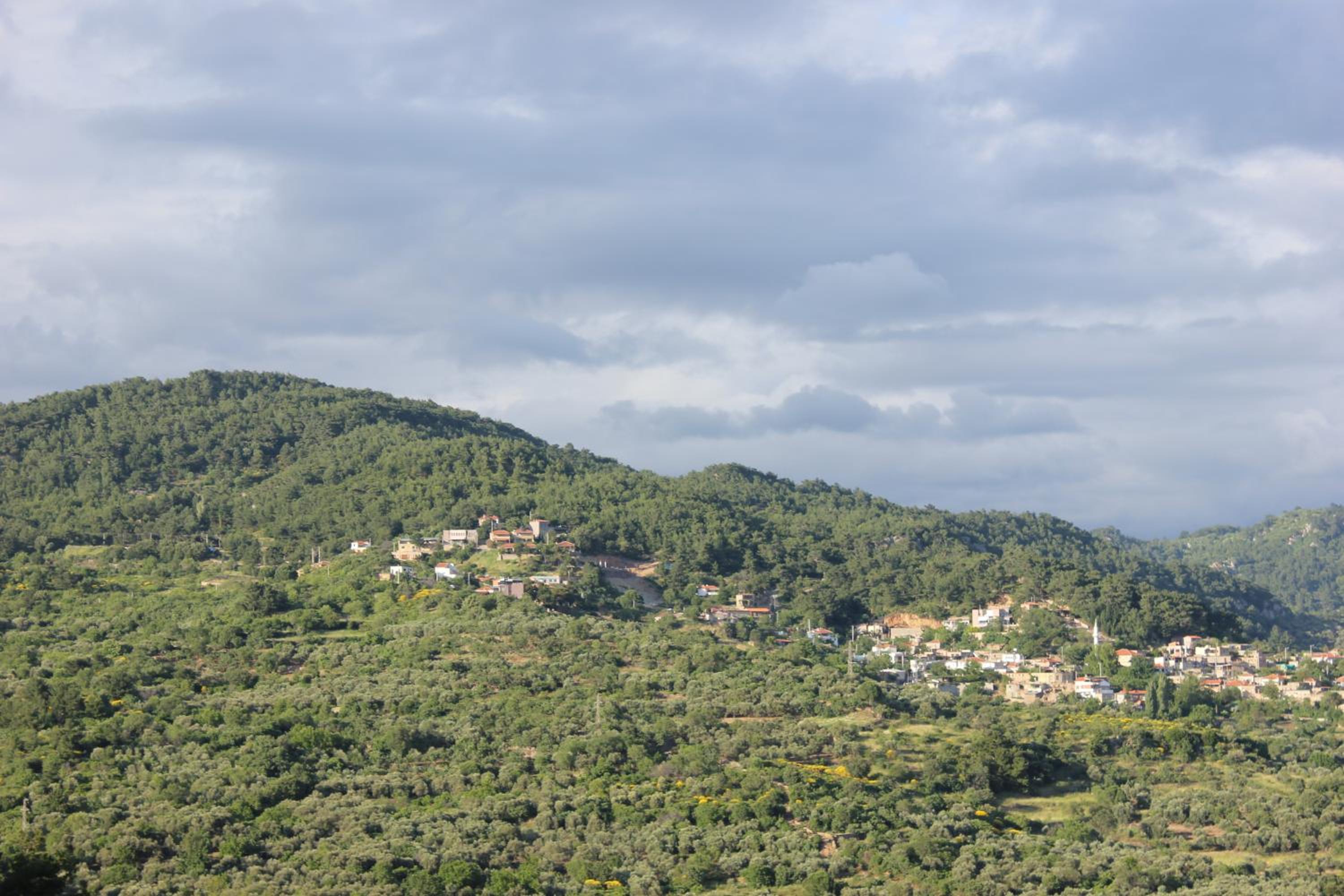 Assos Kayalar Terrace