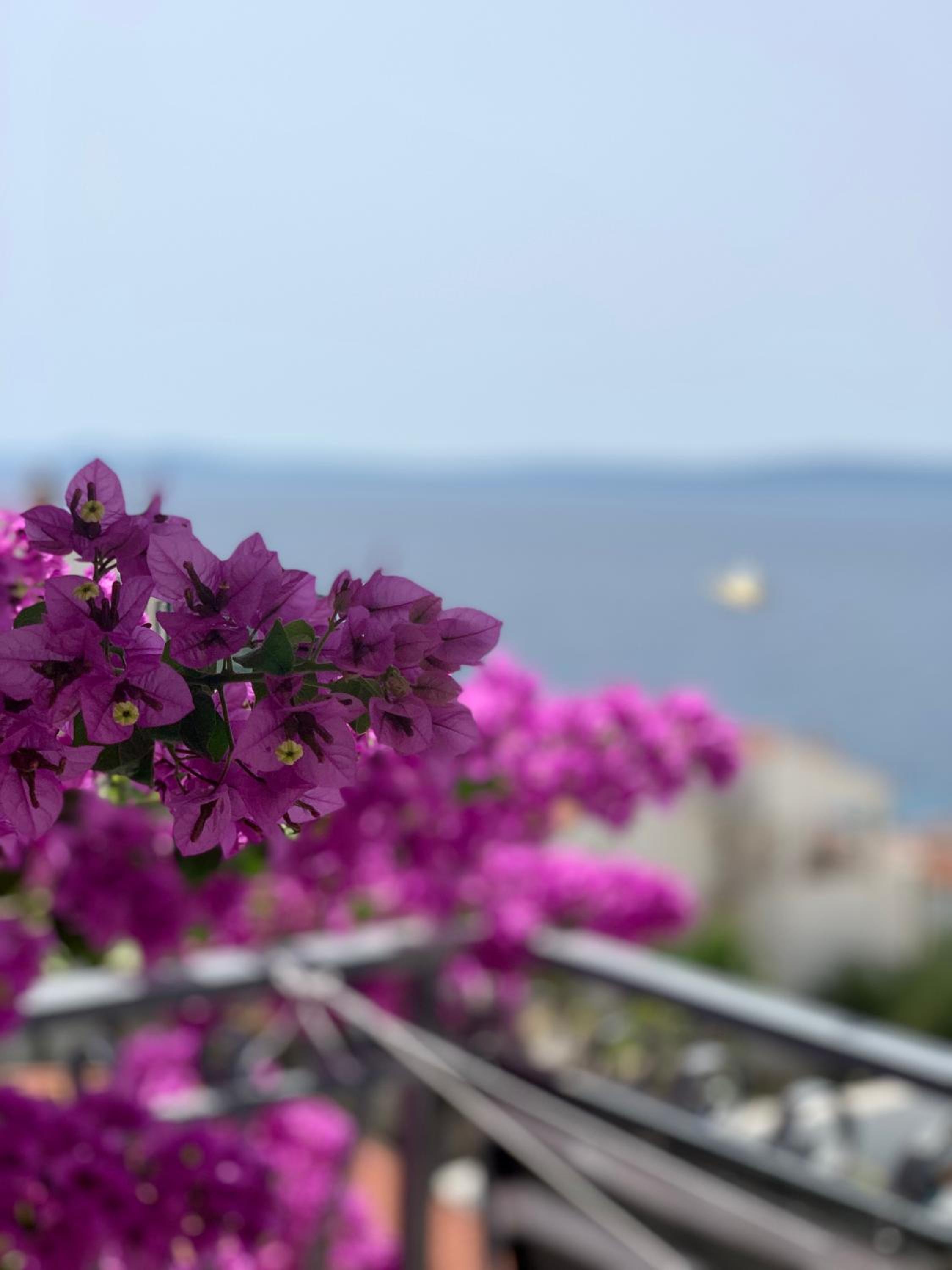 Photo 35