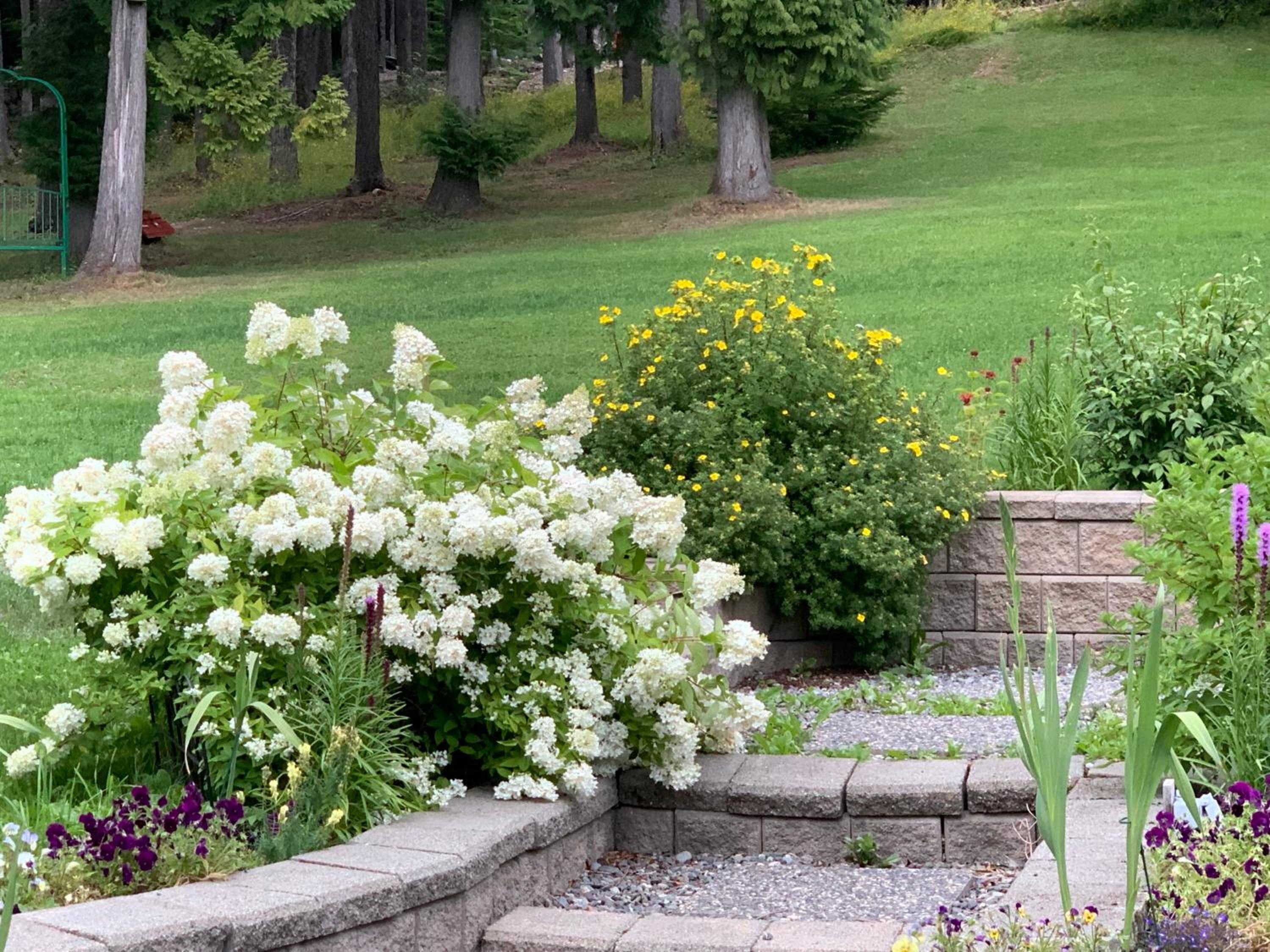 Remo Ridge Bed N Breakfast - Image 2