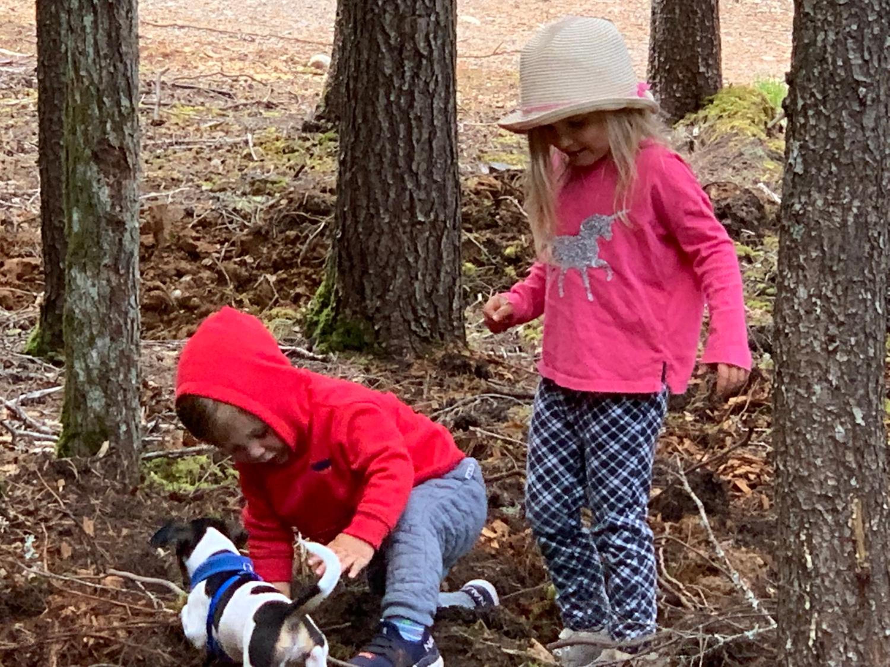 Remo Ridge Bed N Breakfast - Image 3