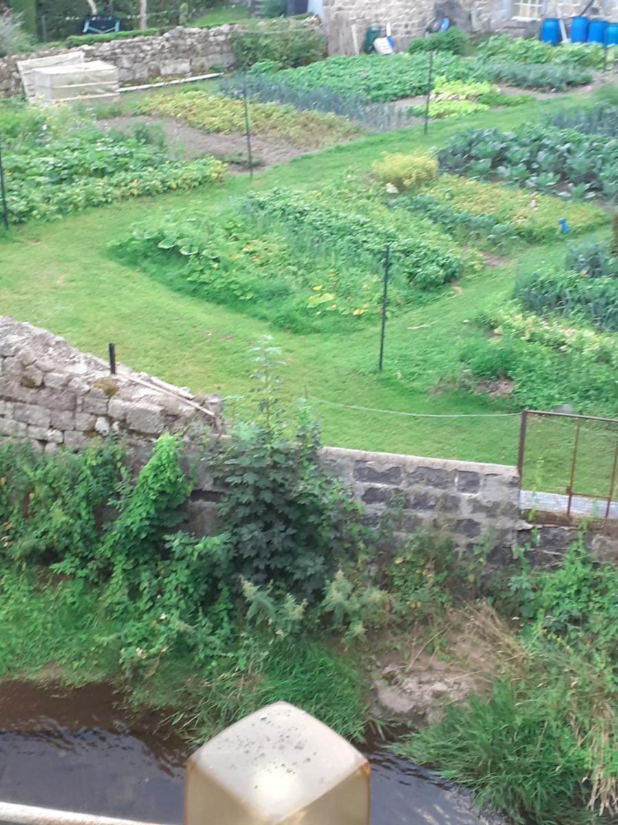 Photo 17