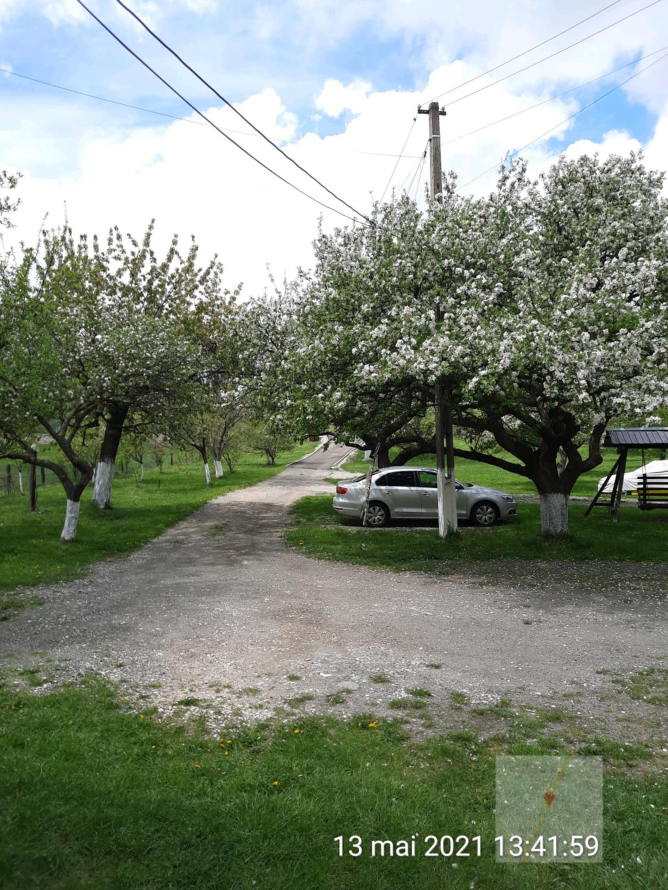 Photo 45