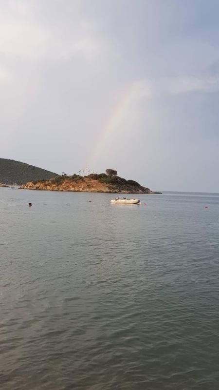 Photo 24