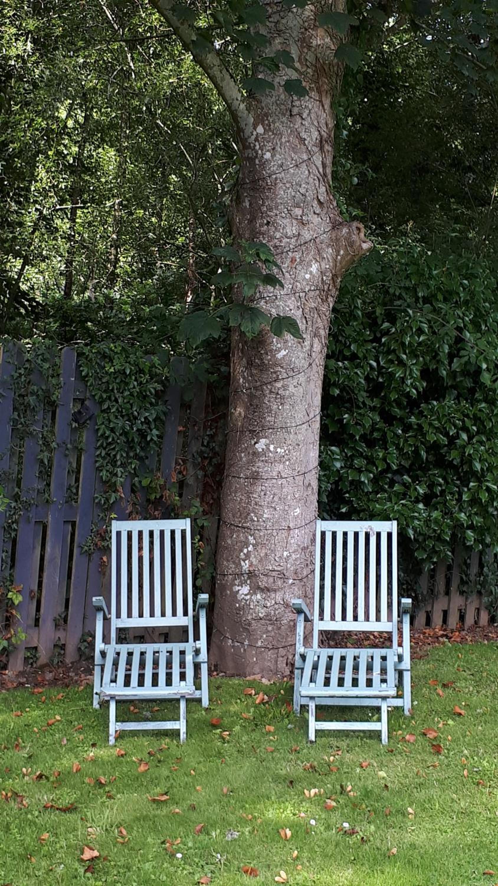 Waterford Vacations - Faithlegg Hotel Lodge - Property Image 12