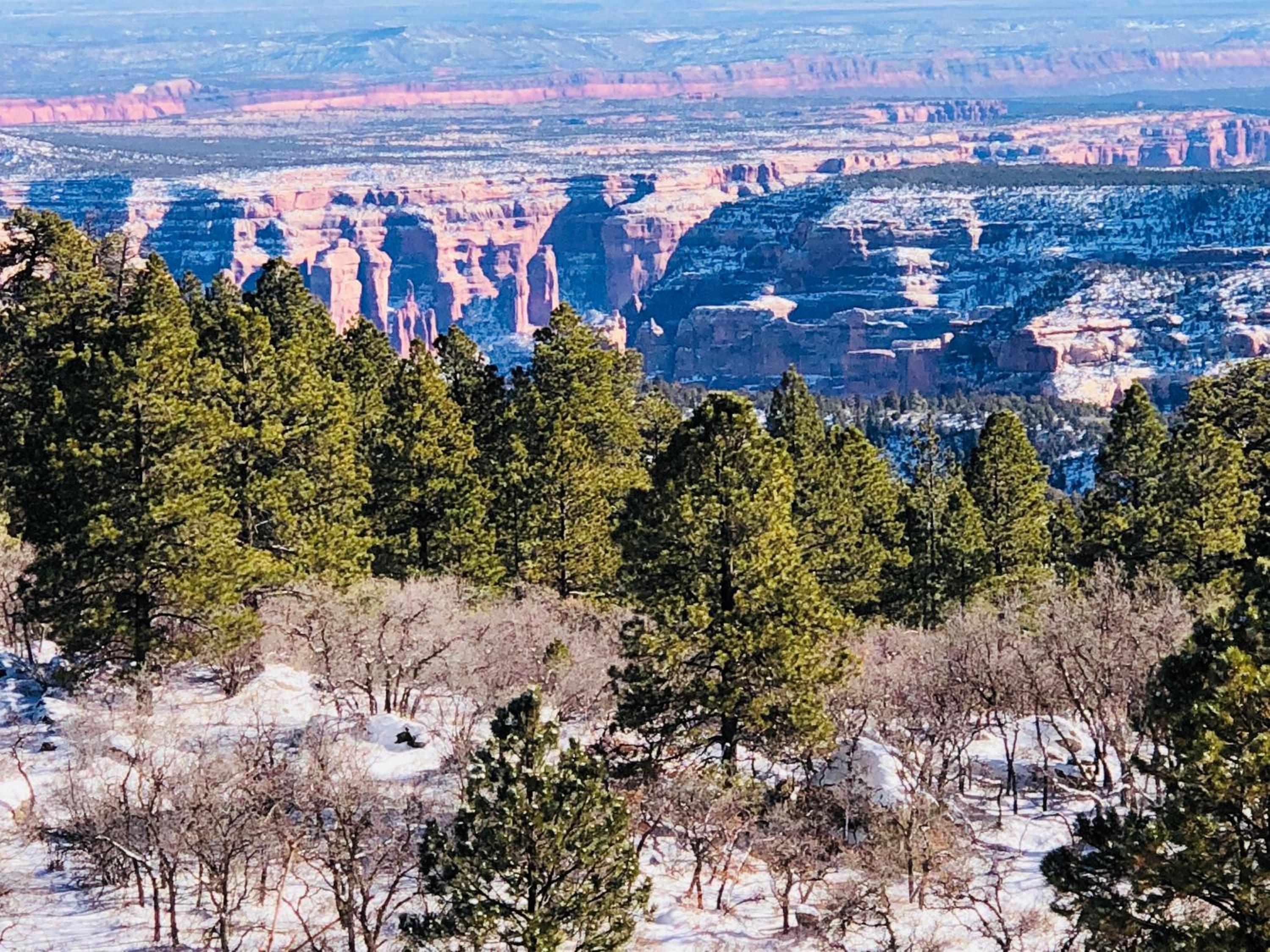 Cedar Canyon Condos