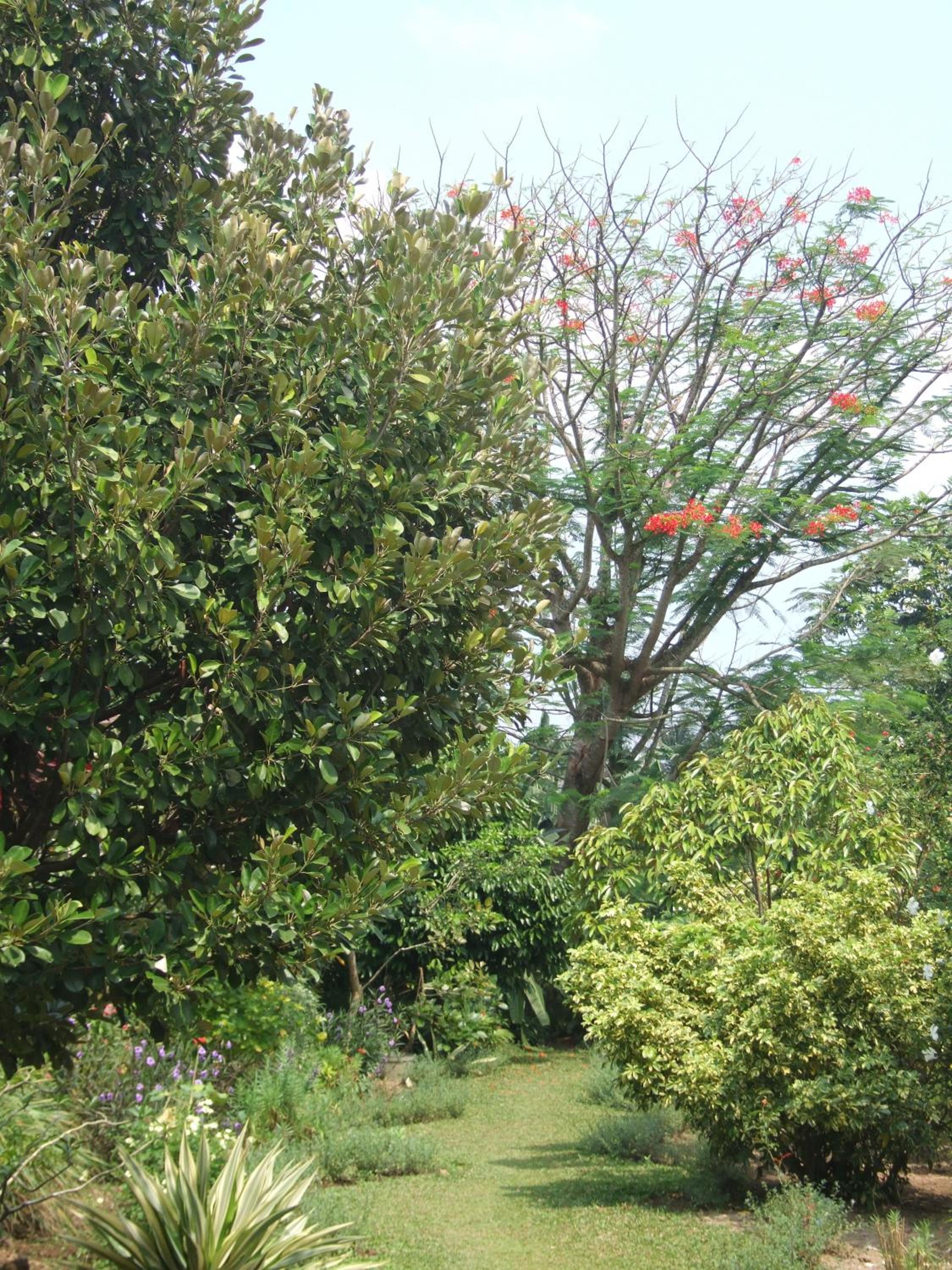 Photo 21