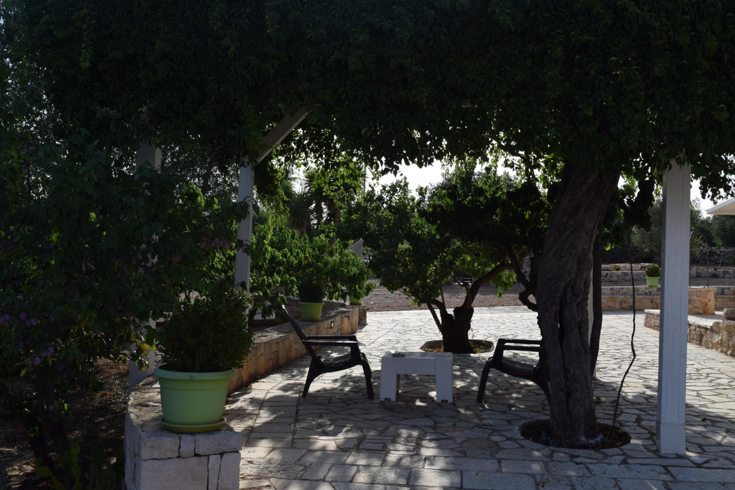 Photo 51