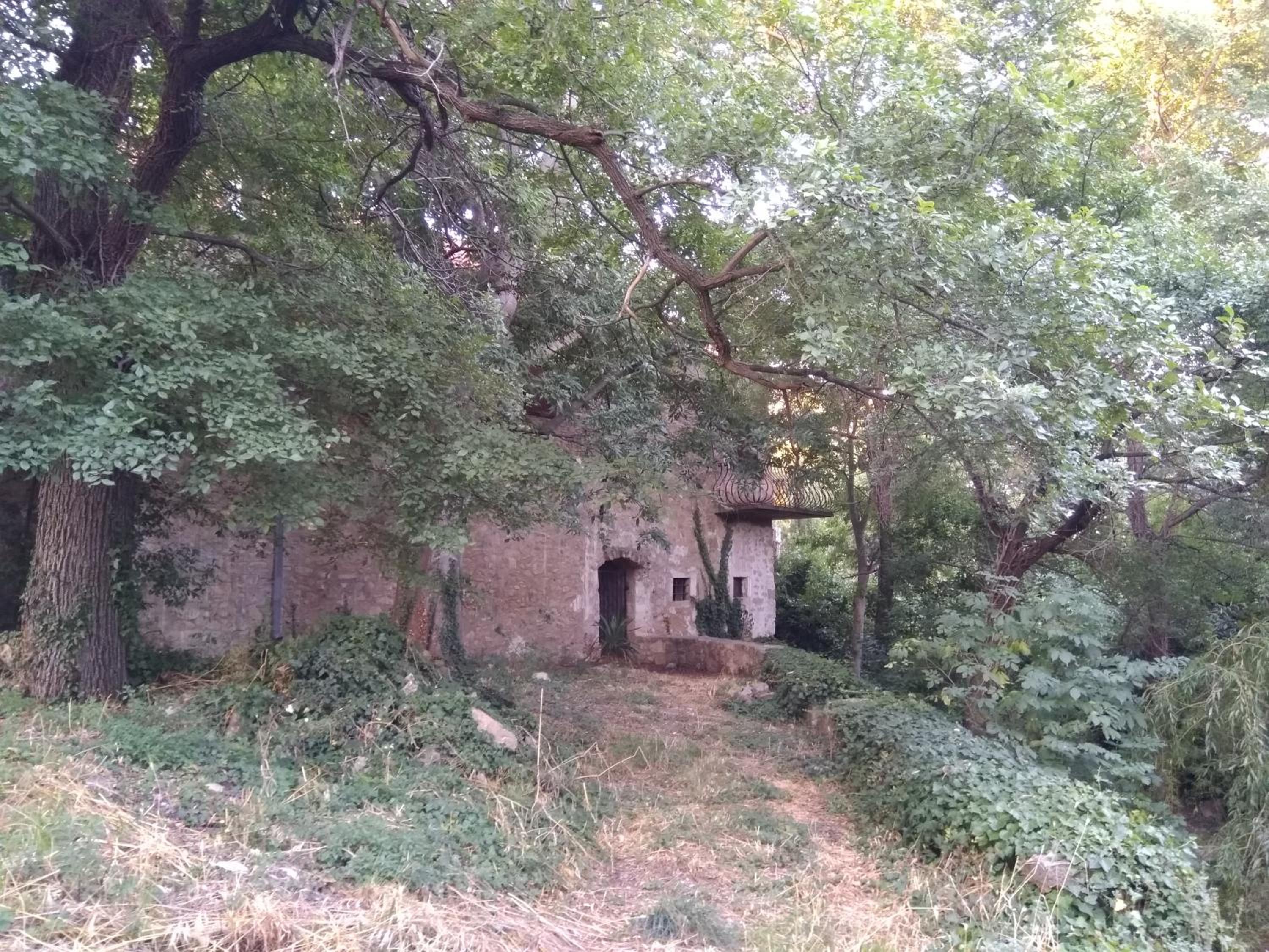 Photo 21