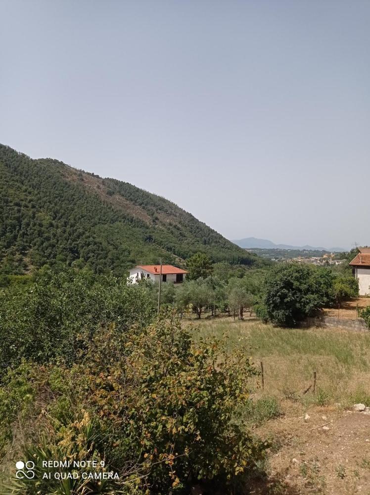 Photo 40