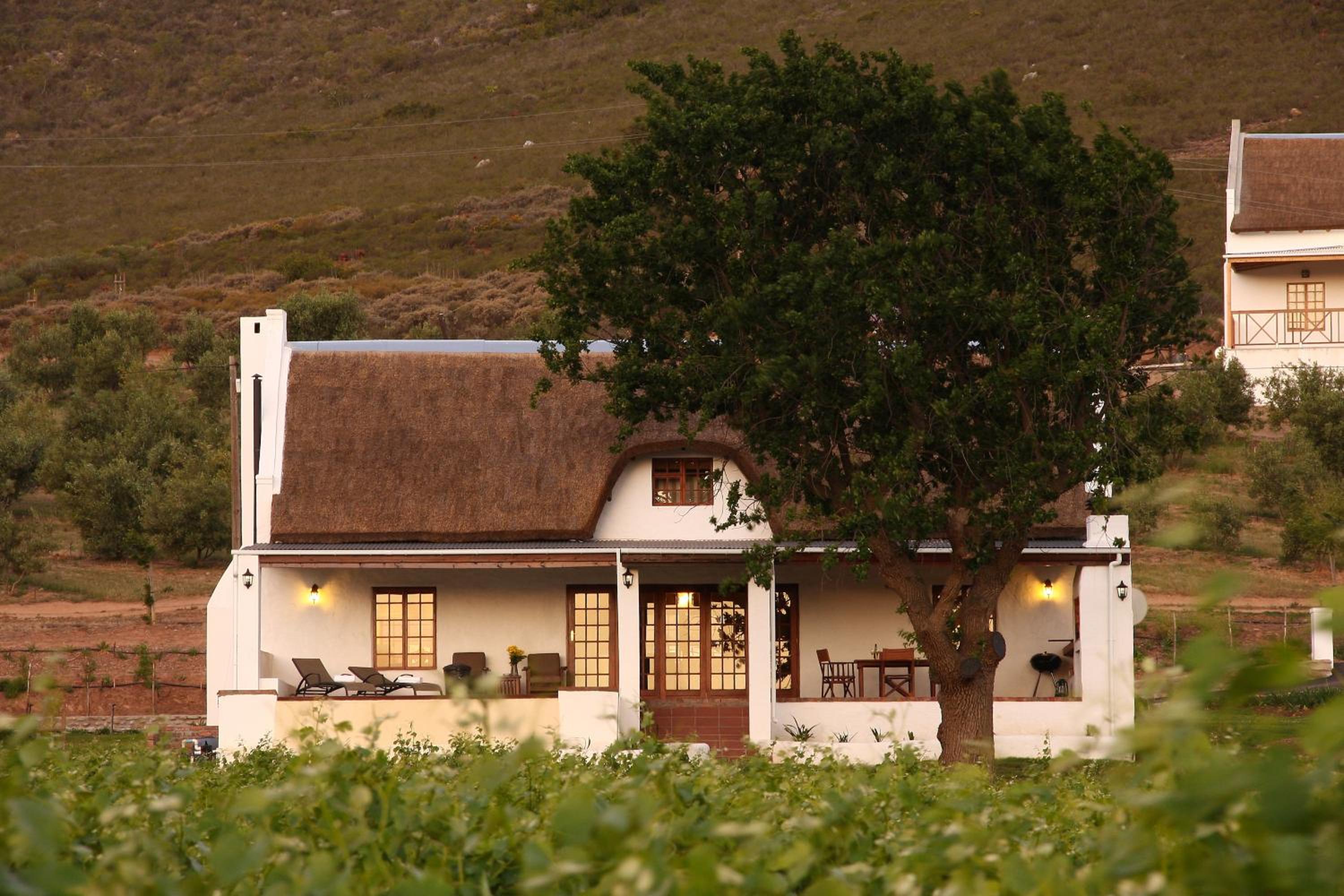 Orange Grove
