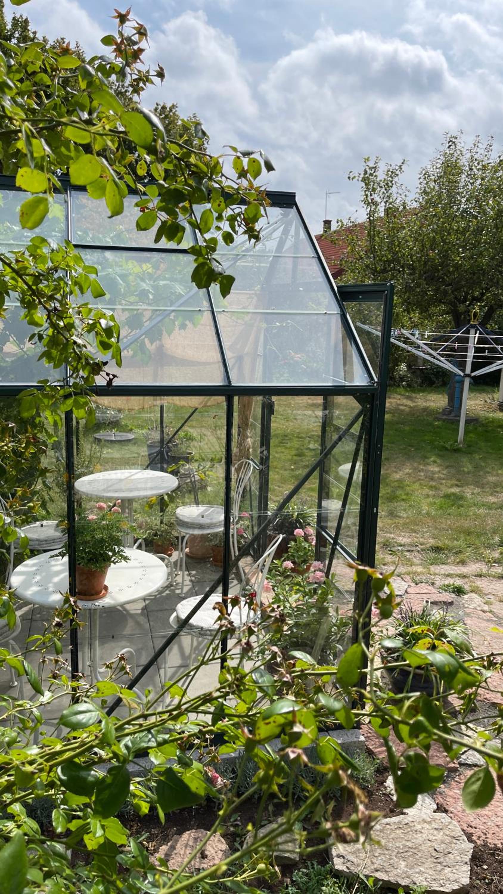 Photo 47