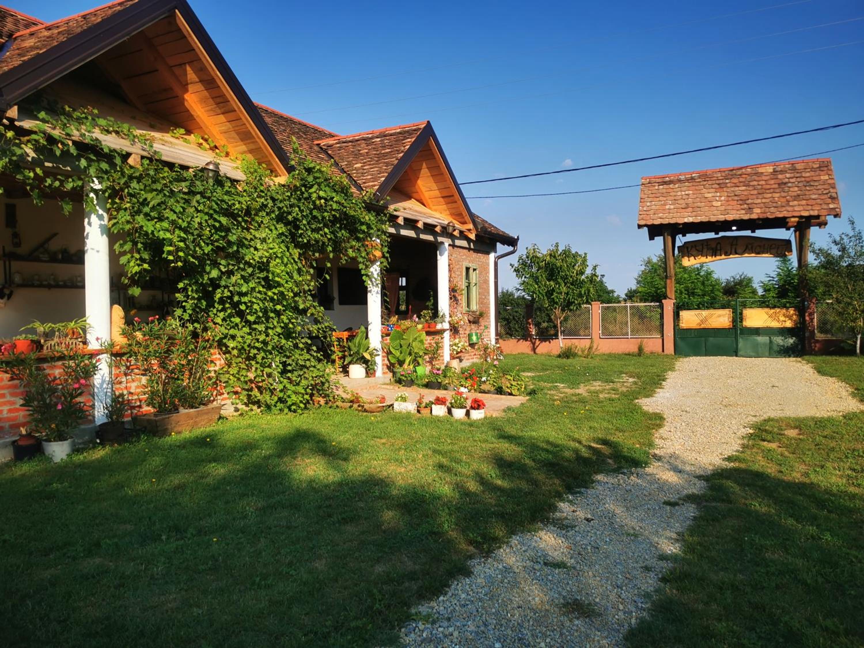 Amanet House Zasavica view 5