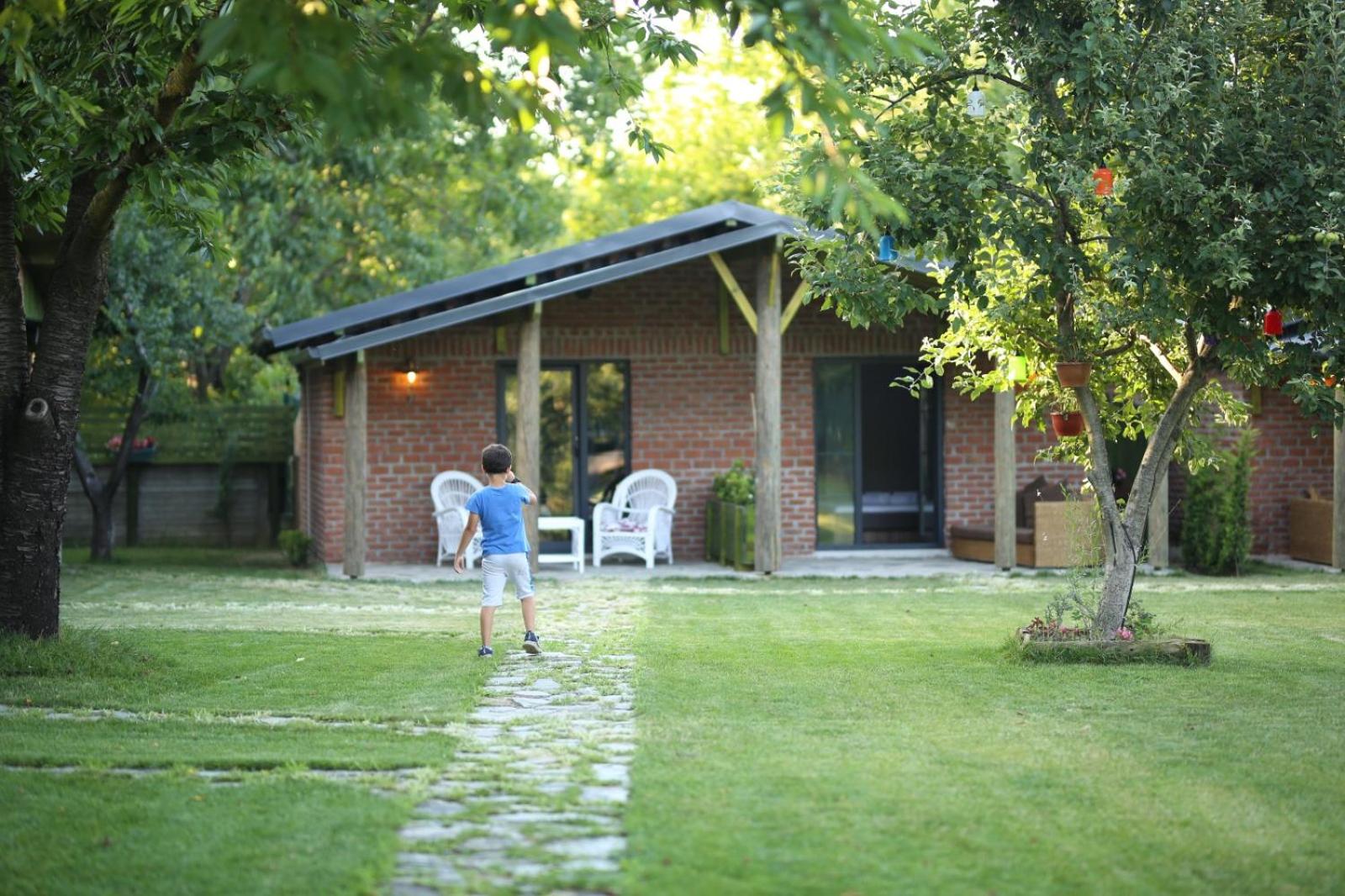 Photo 45