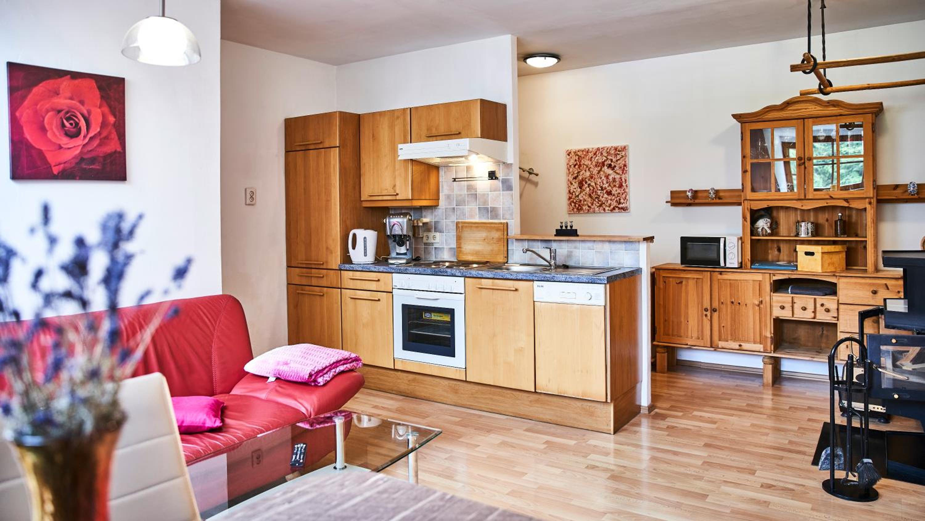 Apartment Fuchswald view 5