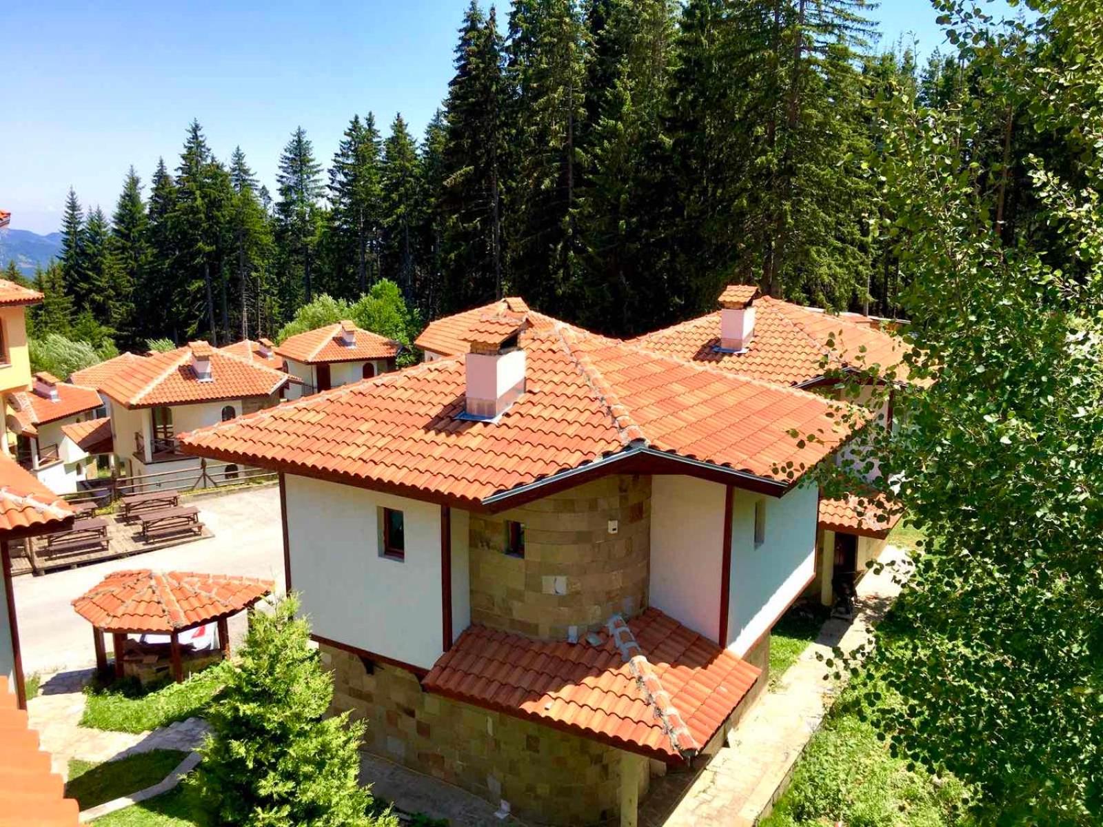 Pamporovo Villa view 2