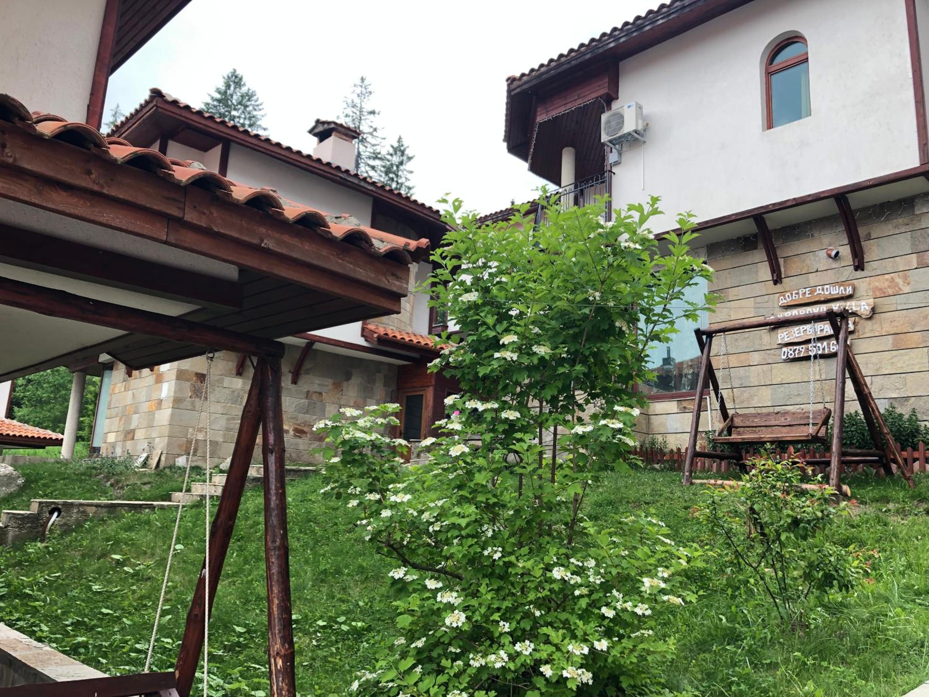 Photo 7