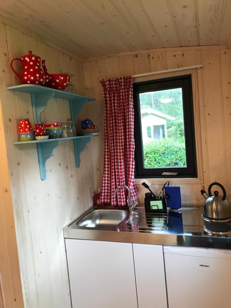 Camping Het Vossenhol view 4