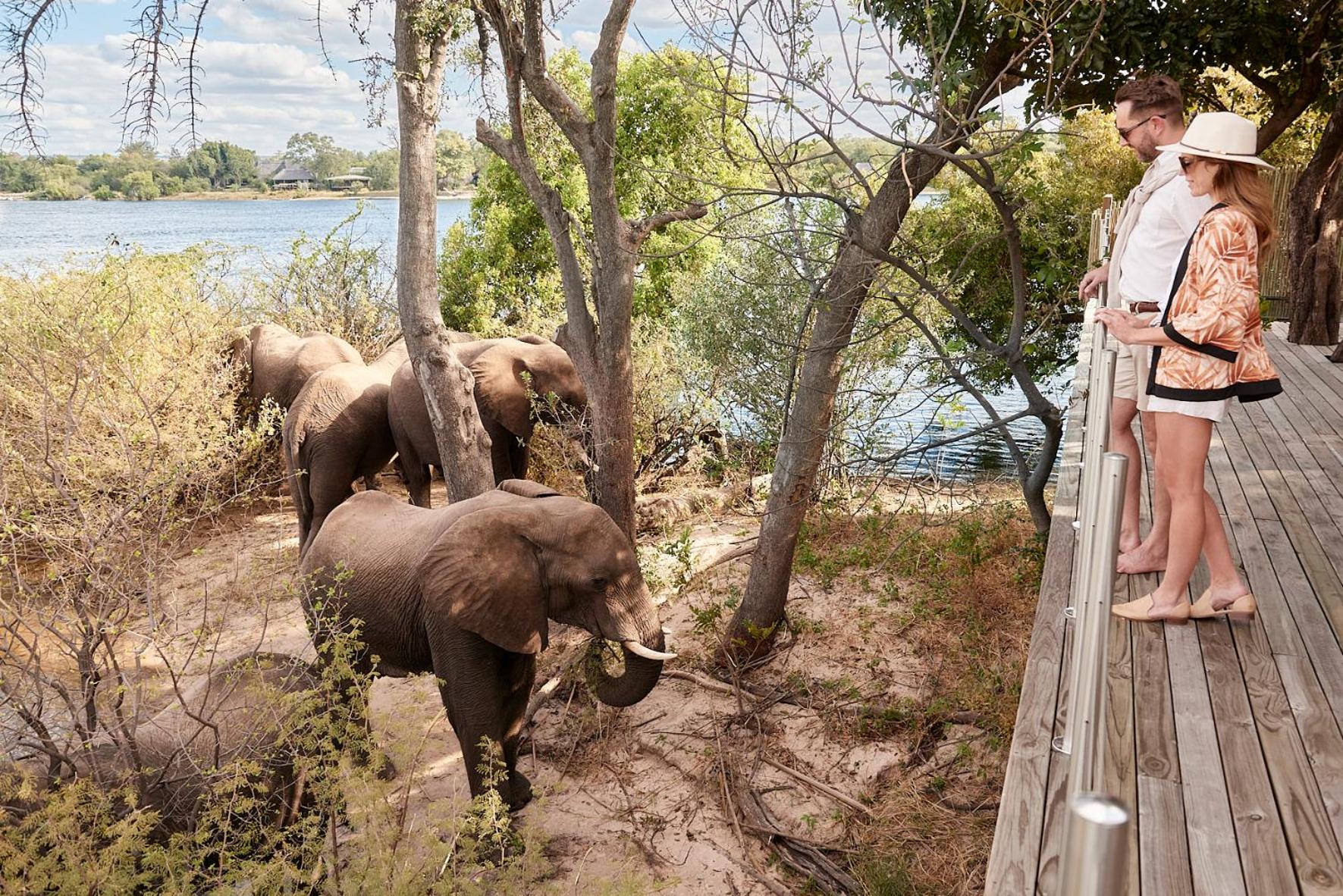 Victoria Falls River Lodge