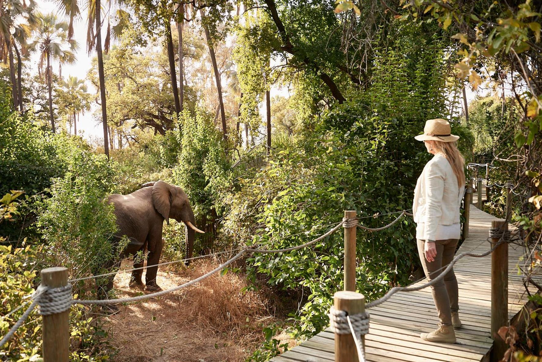 Victoria Falls River Lodge