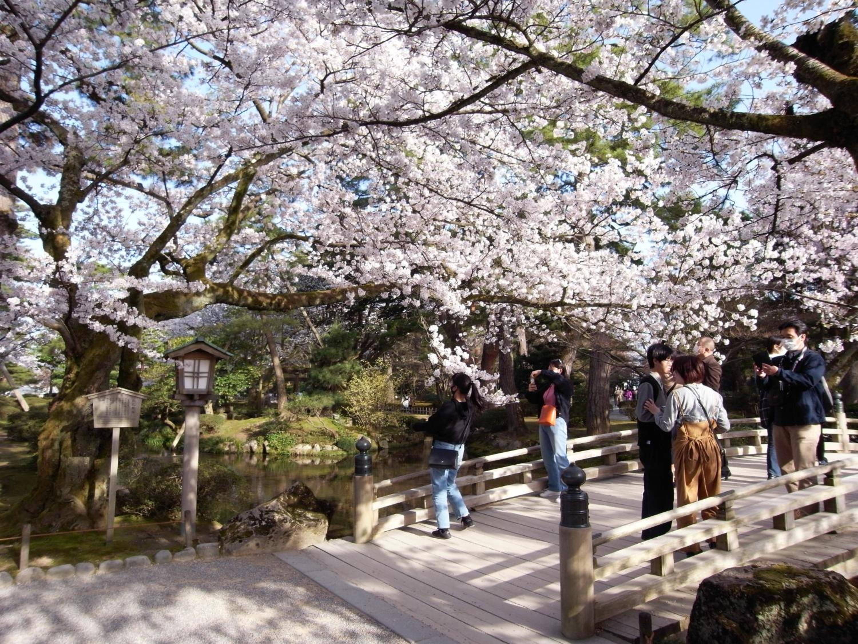 Ryokan Yamamuro