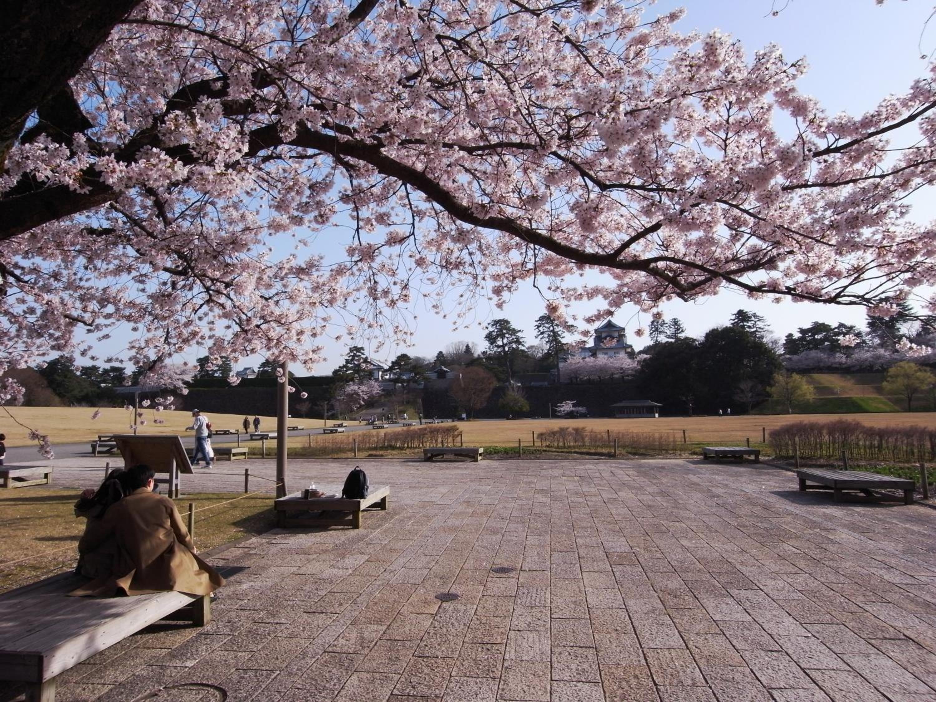 Ryokan Yamamuro
