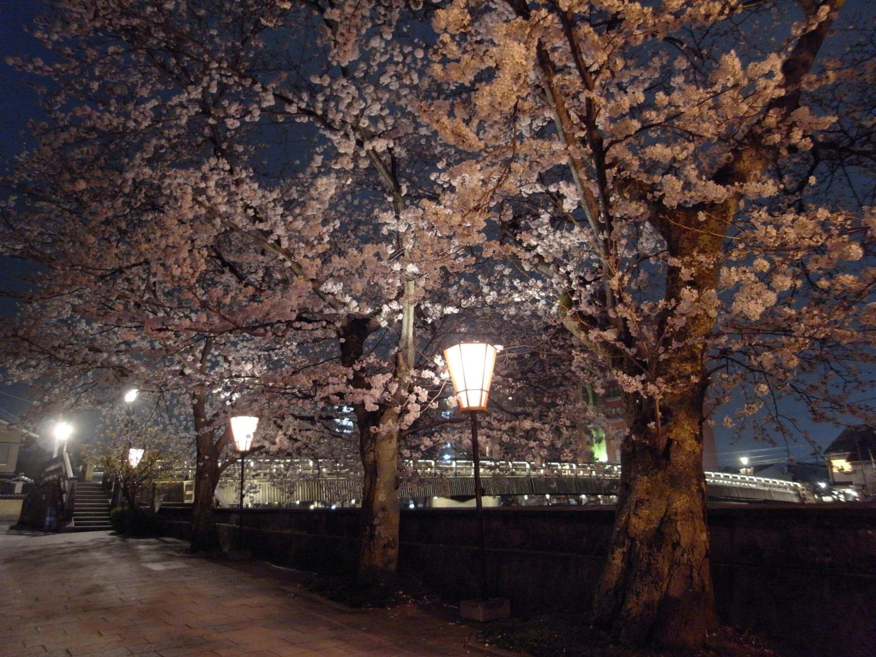 Ryokan Yamamuro