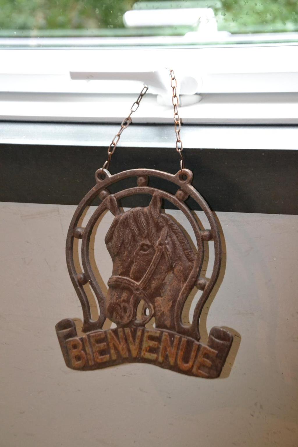 La Bulle Du Trappeur (Chevaux bienvenus) view 5