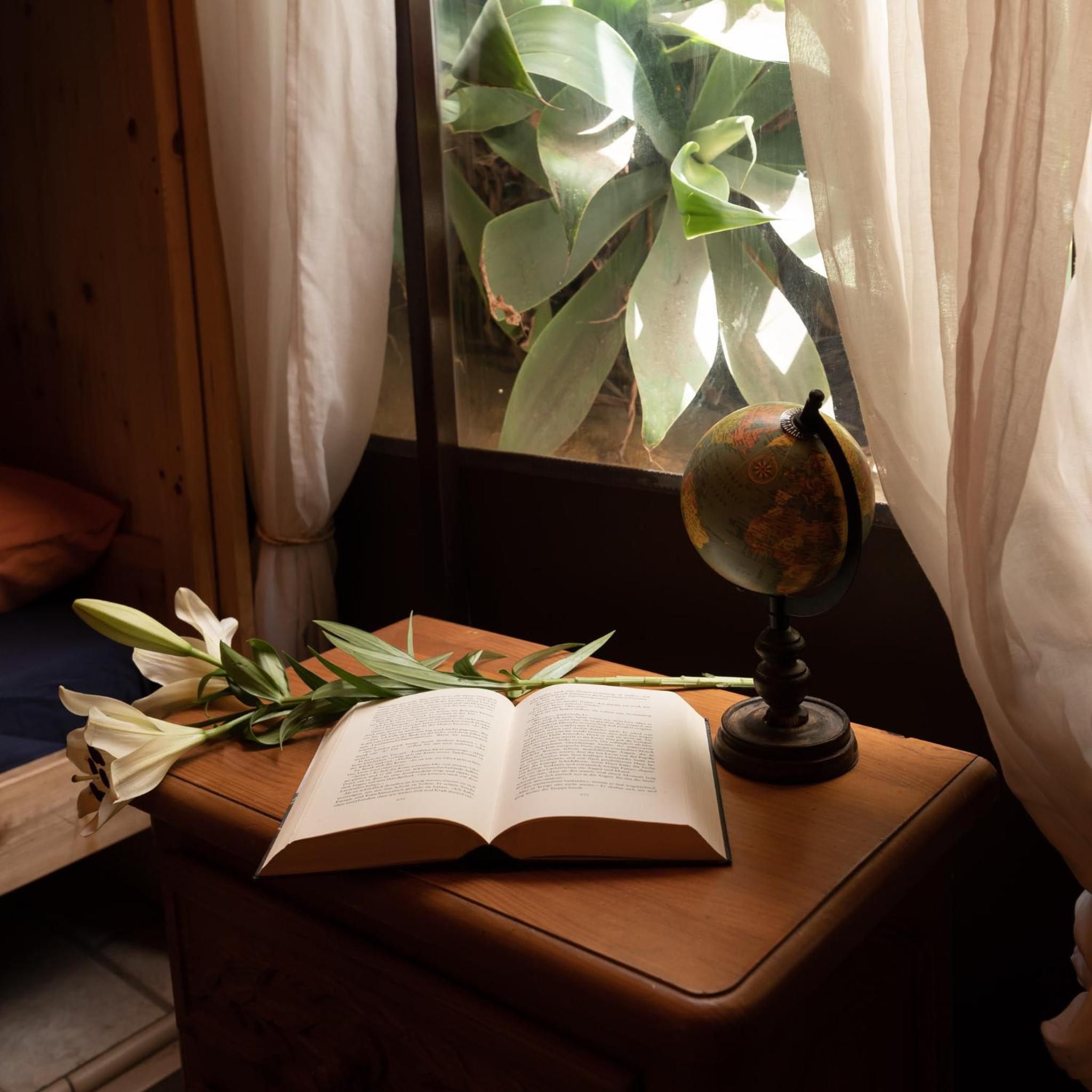 Los Amigos Nest Hostel